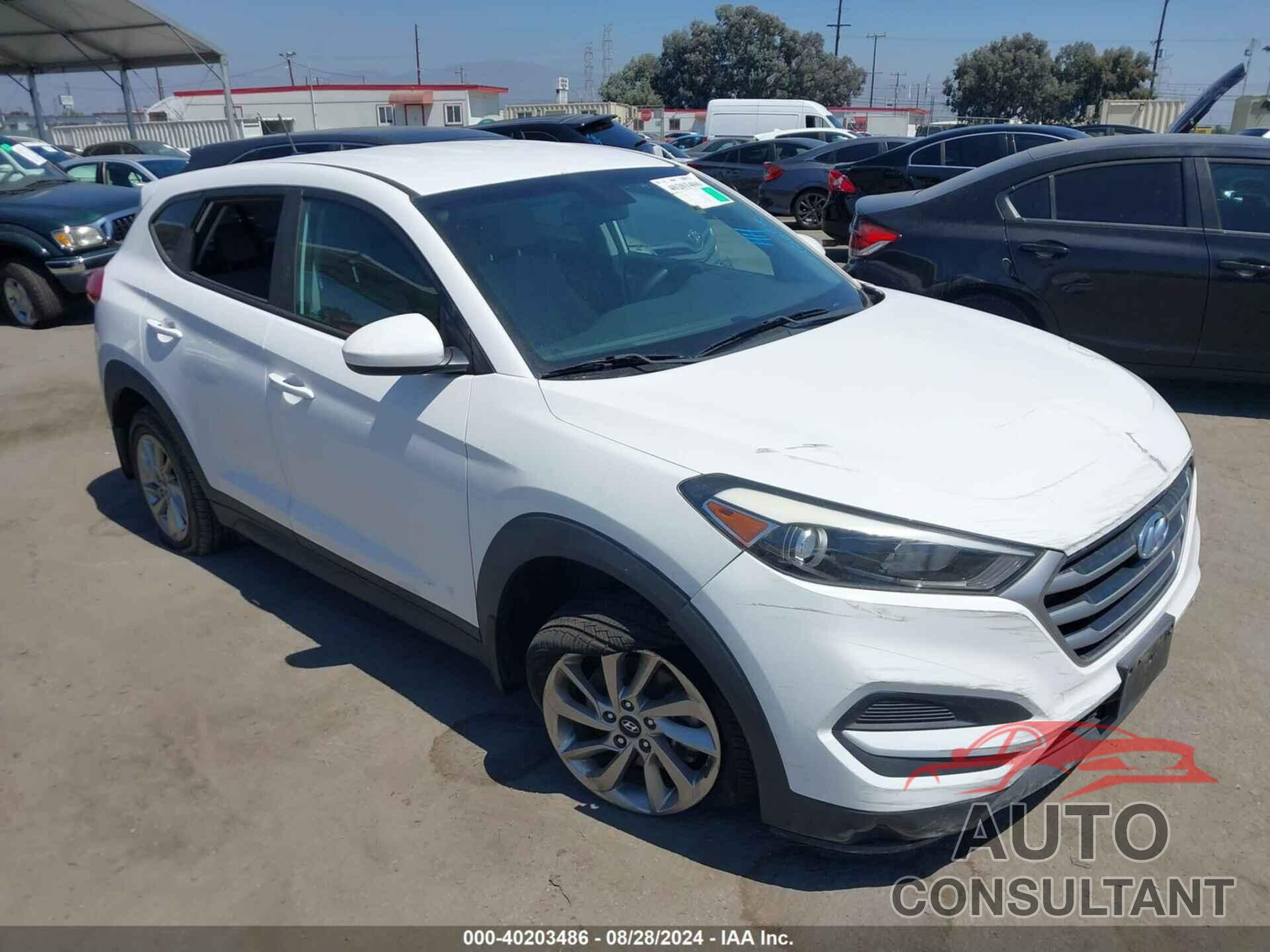 HYUNDAI TUCSON 2017 - KM8J23A44HU276098