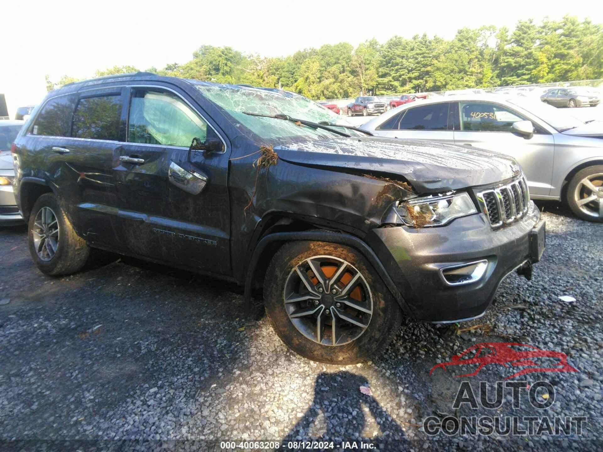 JEEP GRAND CHEROKEE 2019 - 1C4RJFBG4KC761407