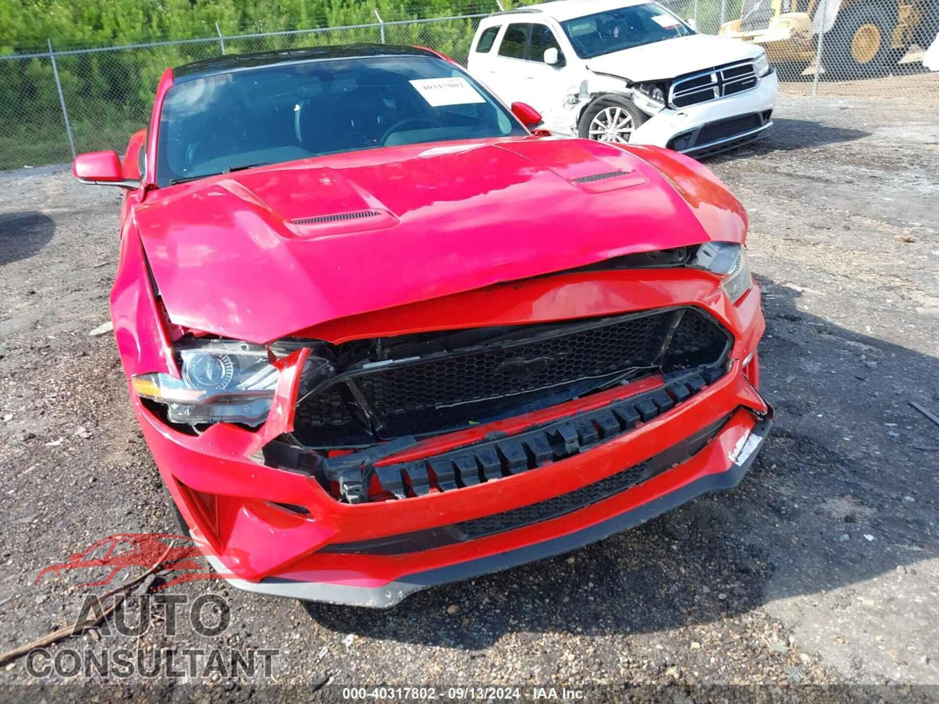 FORD MUSTANG 2019 - 1FA6P8CF8K5197130