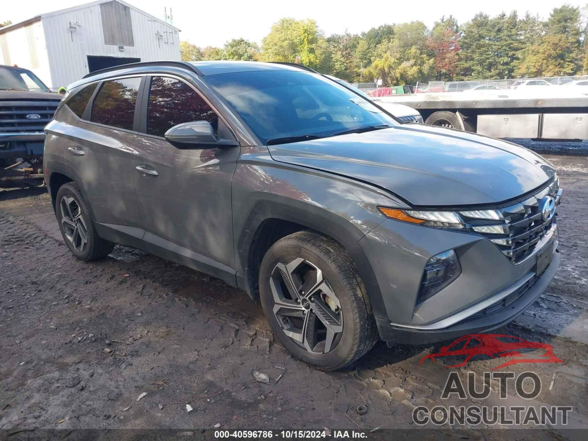 HYUNDAI TUCSON 2024 - 5NMJFCDE0RH319020