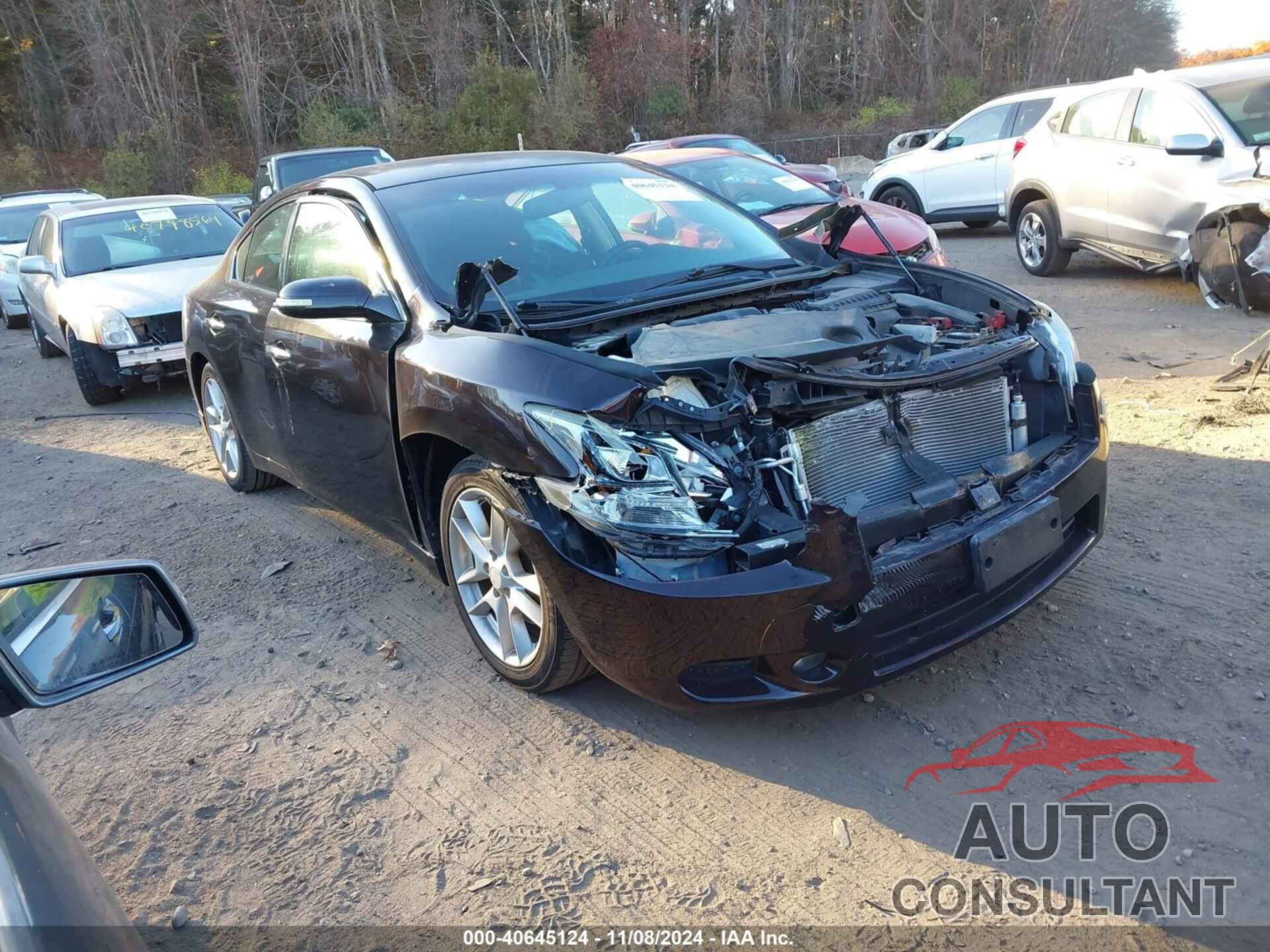 NISSAN MAXIMA 2010 - 1N4AA5AP3AC858076