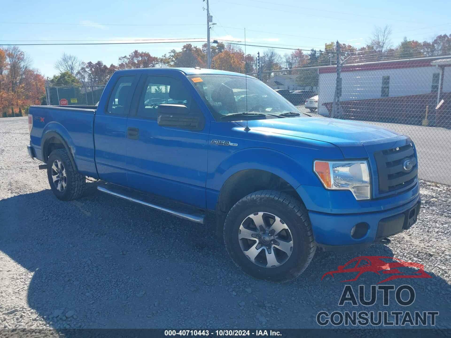 FORD F-150 2012 - 1FTFX1EF5CFB81395