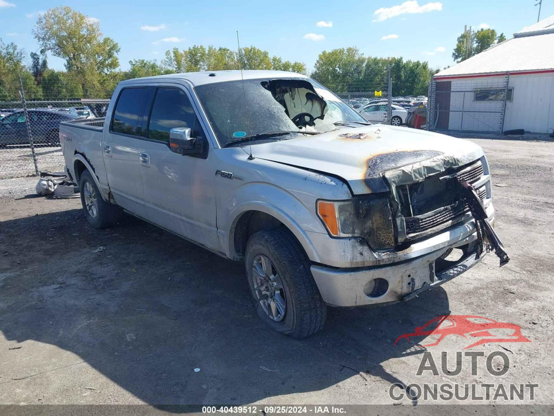 FORD F-150 2009 - 1FTPW14V79FB18467