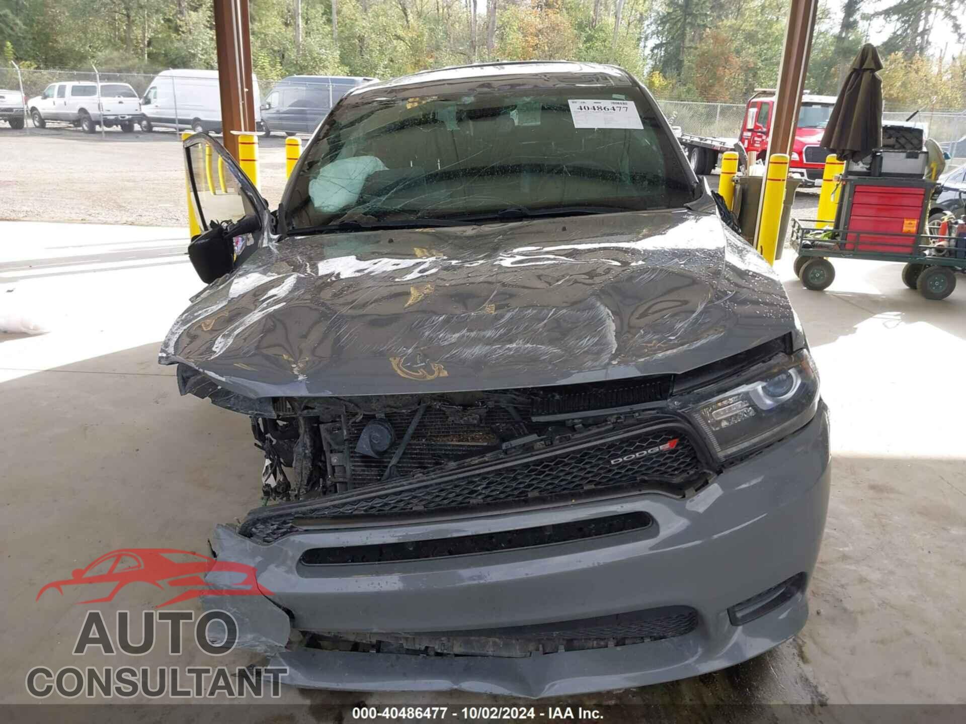 DODGE DURANGO 2019 - 1C4RDJDG4KC743951