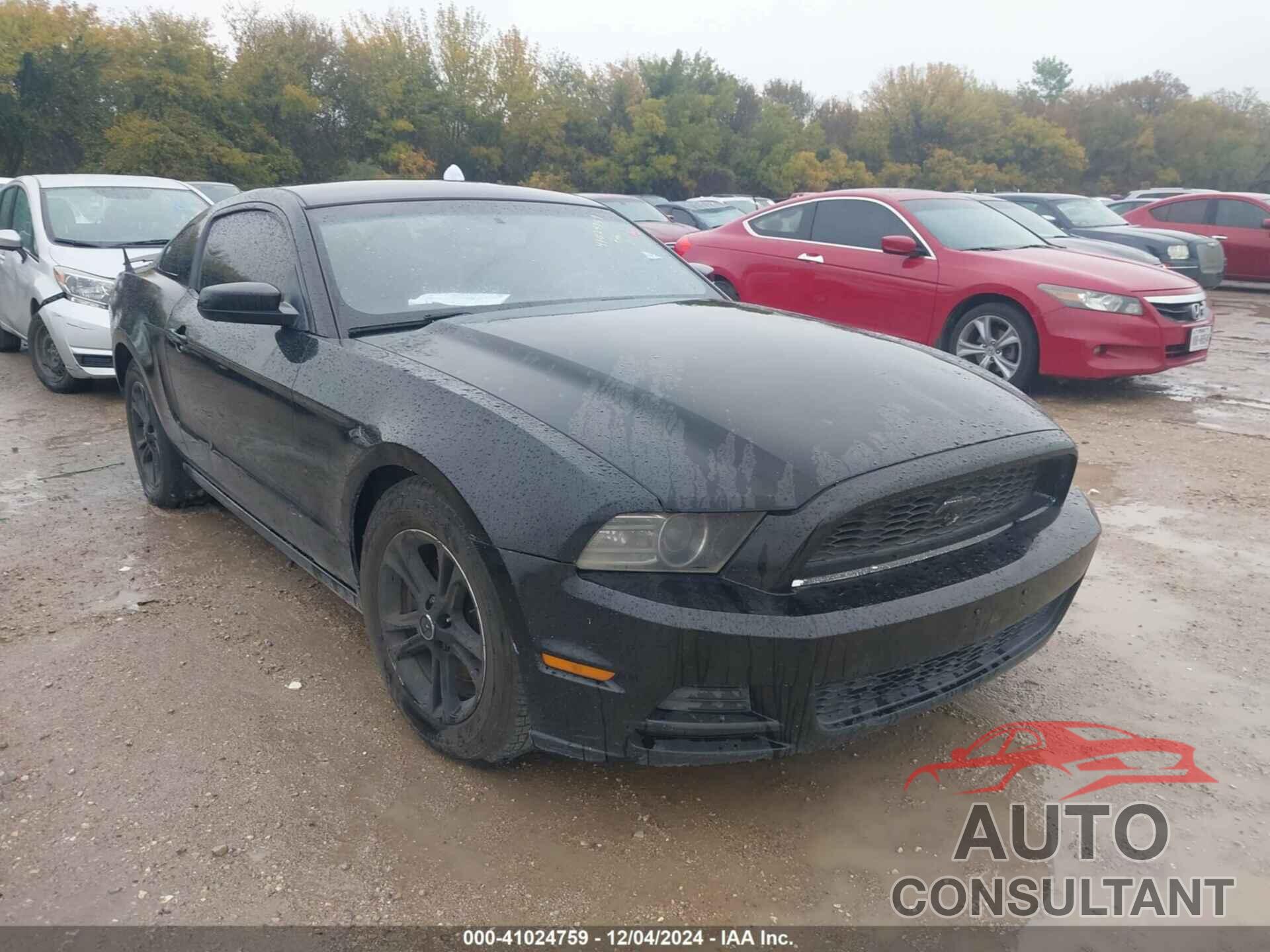 FORD MUSTANG 2014 - 1ZVBP8AM1E5236555