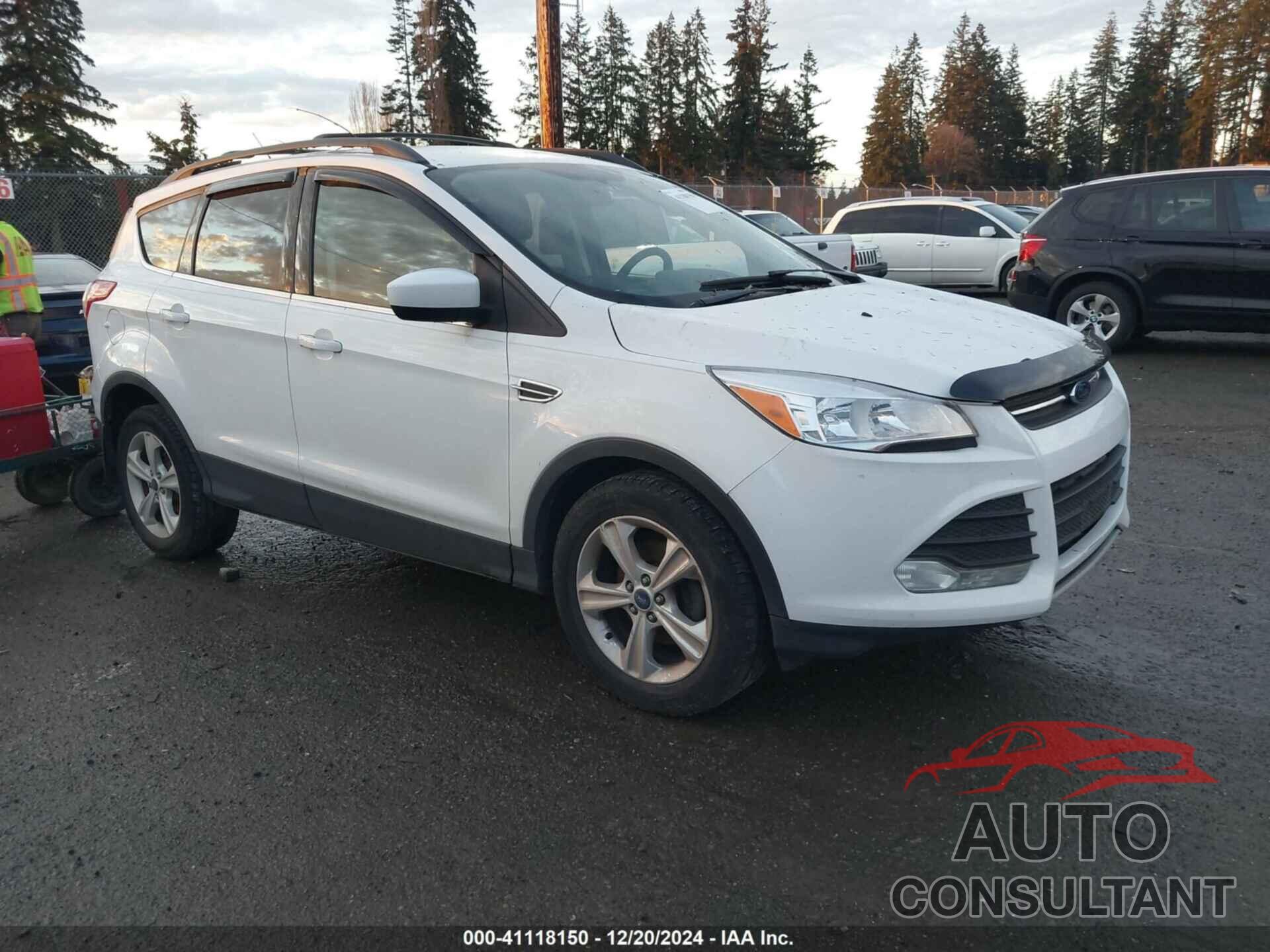 FORD ESCAPE 2013 - 1FMCU0GXXDUB01951