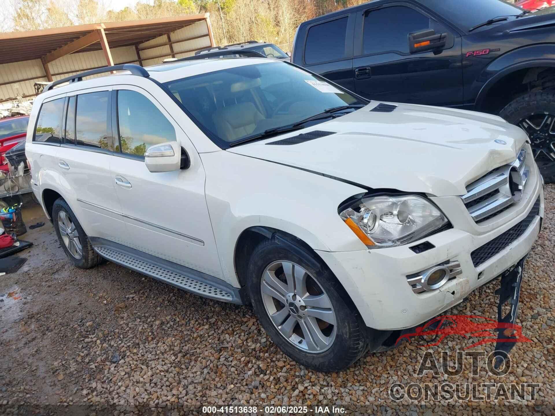 MERCEDES-BENZ GL 450 2009 - 4JGBF71E79A478283