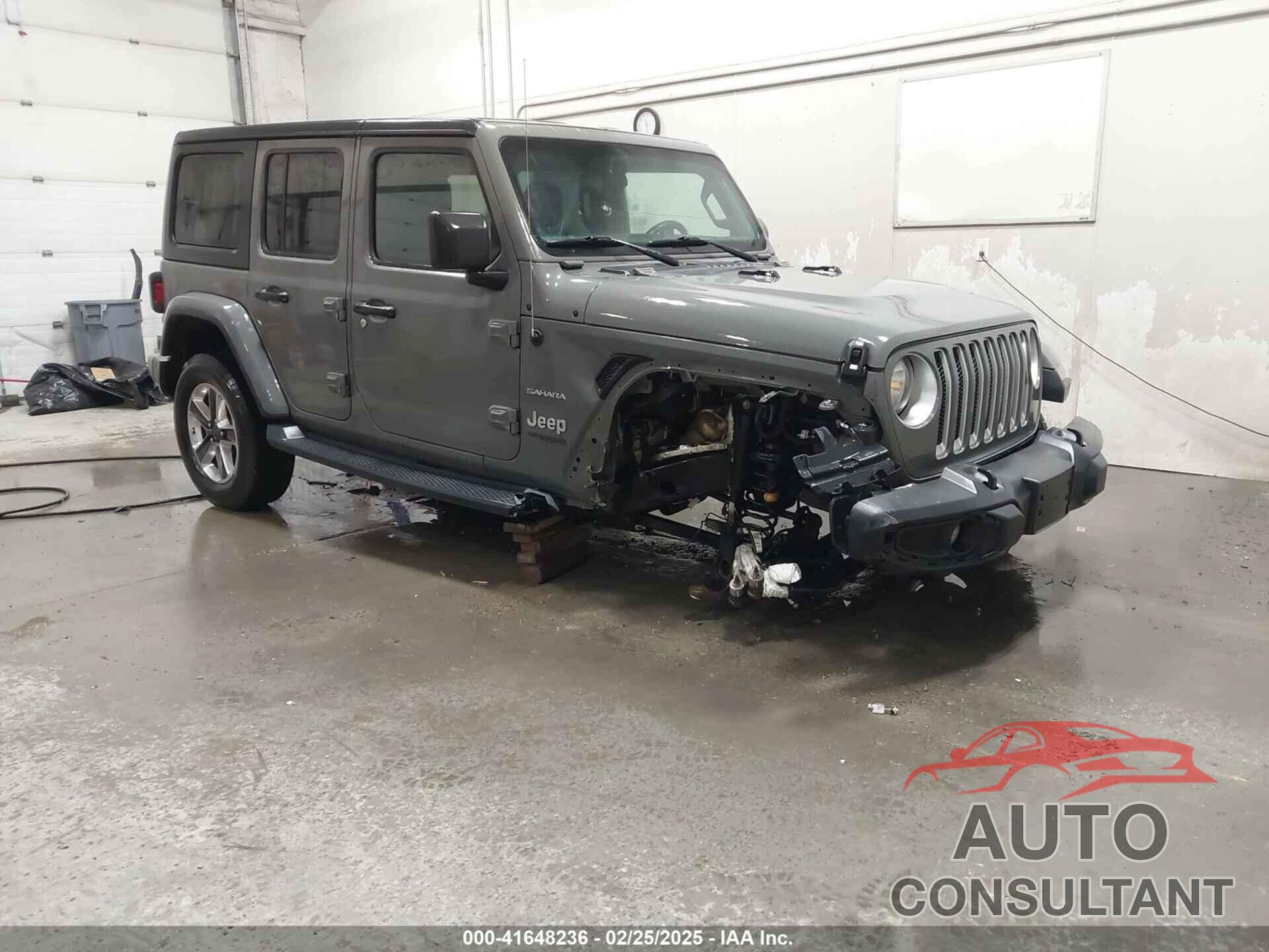 JEEP WRANGLER UNLIMITED 2019 - 1C4HJXEG9KW656454