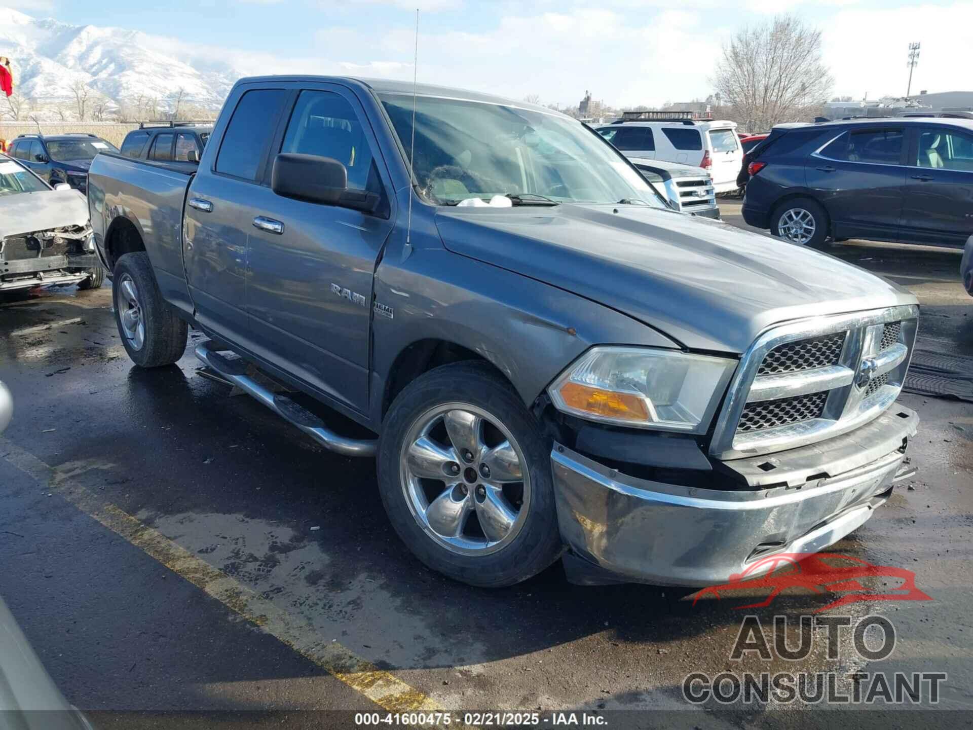 DODGE RAM 1500 2010 - 1D7RV1GT4AS192291