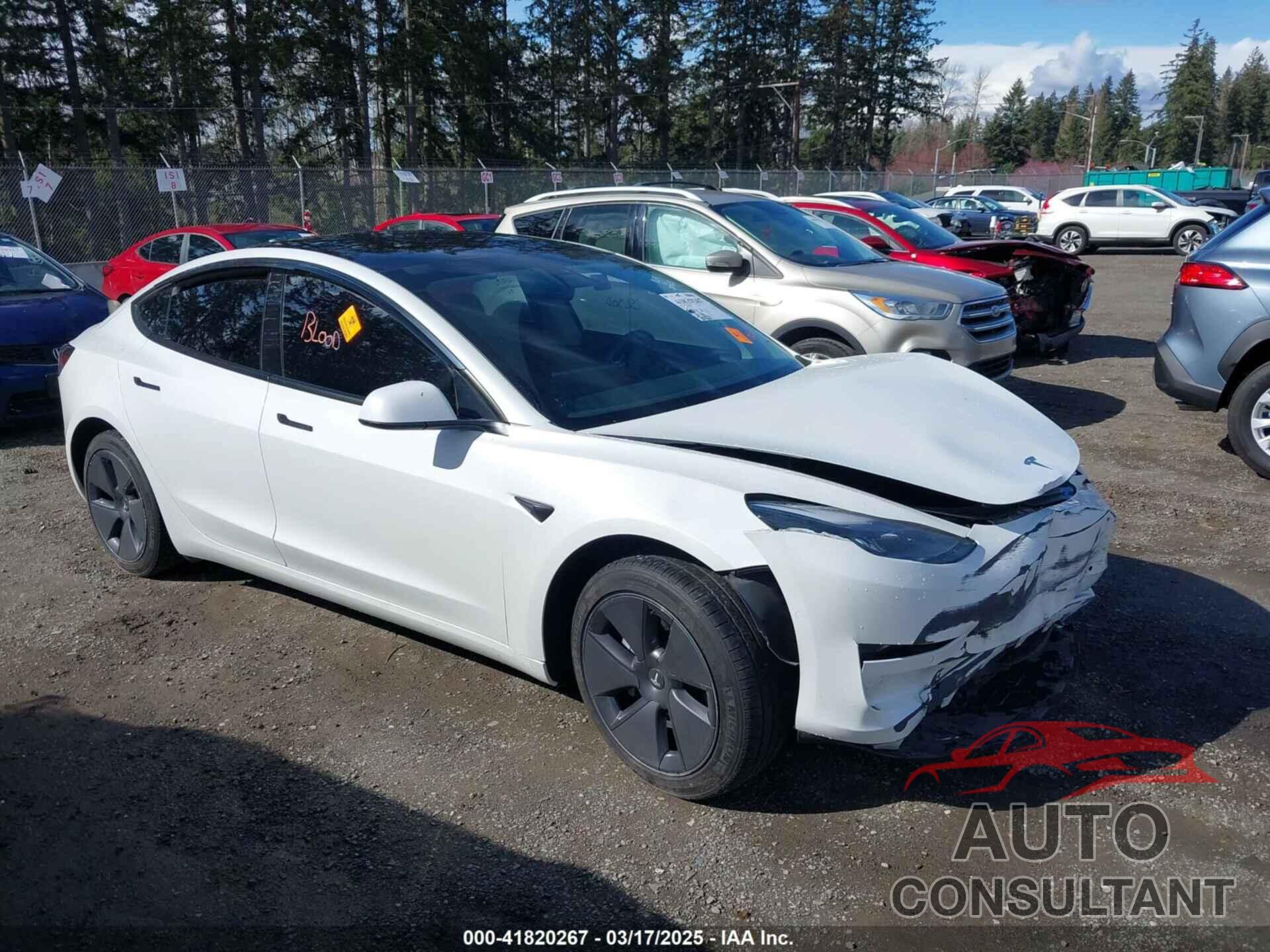 TESLA MODEL 3 2021 - 5YJ3E1EA0MF062074