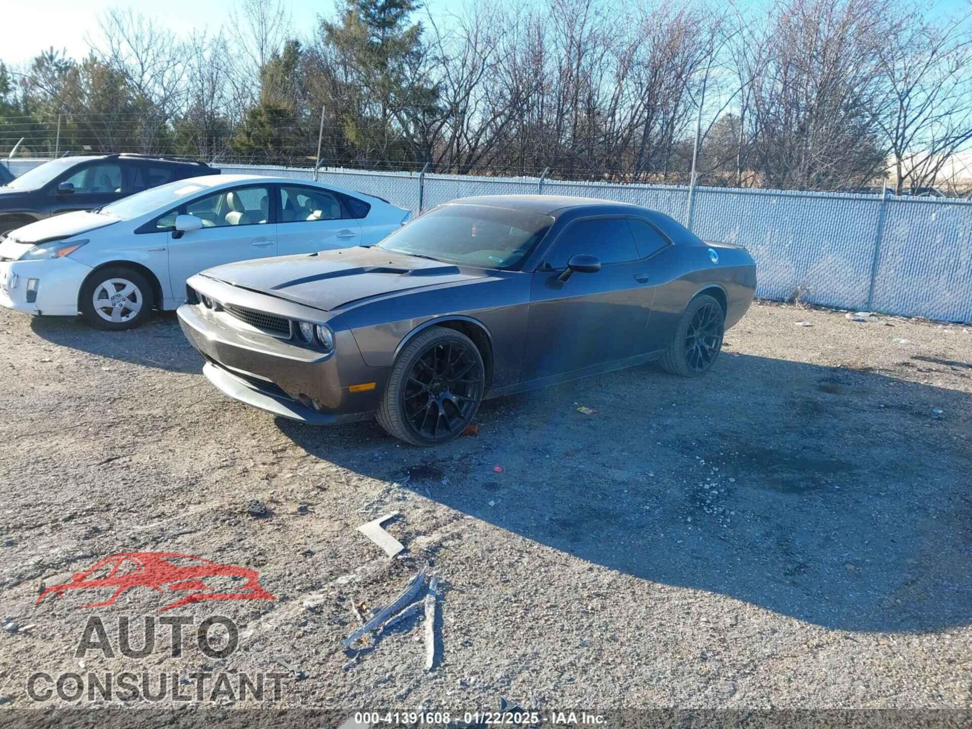 DODGE CHALLENGER 2014 - 2C3CDYAG3EH284226