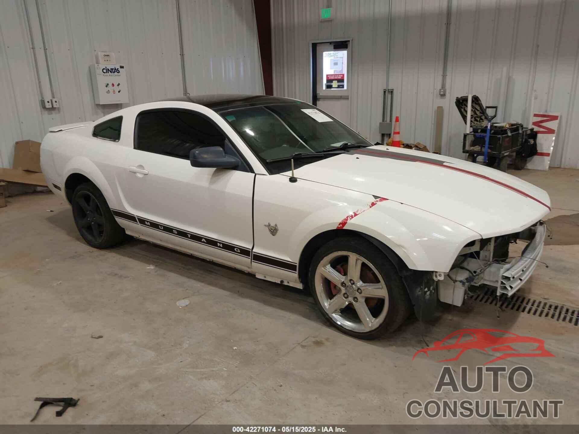 FORD MUSTANG 2009 - 1ZVHT80N895138046