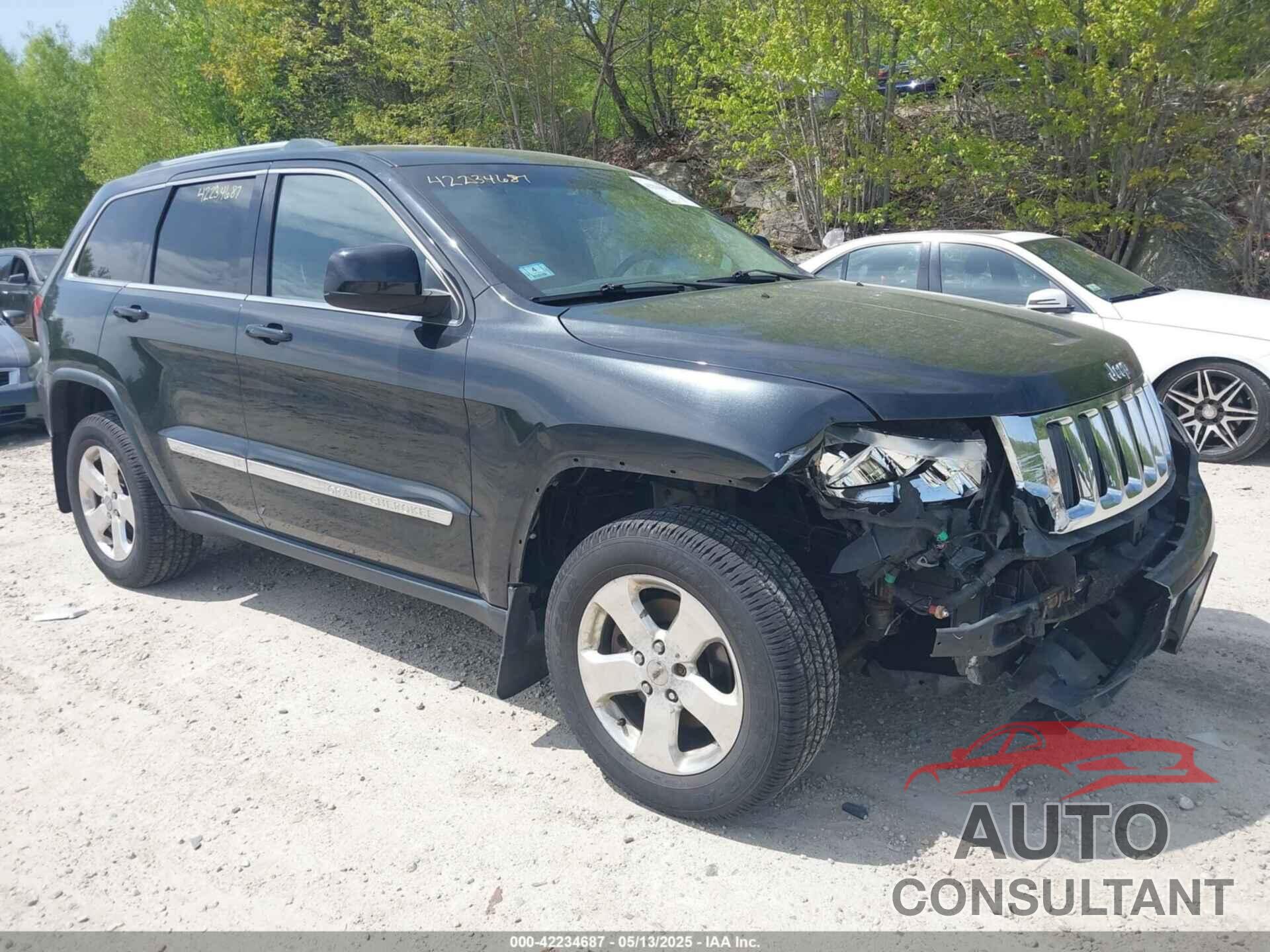 JEEP GRAND CHEROKEE 2013 - 1C4RJFAG9DC501993