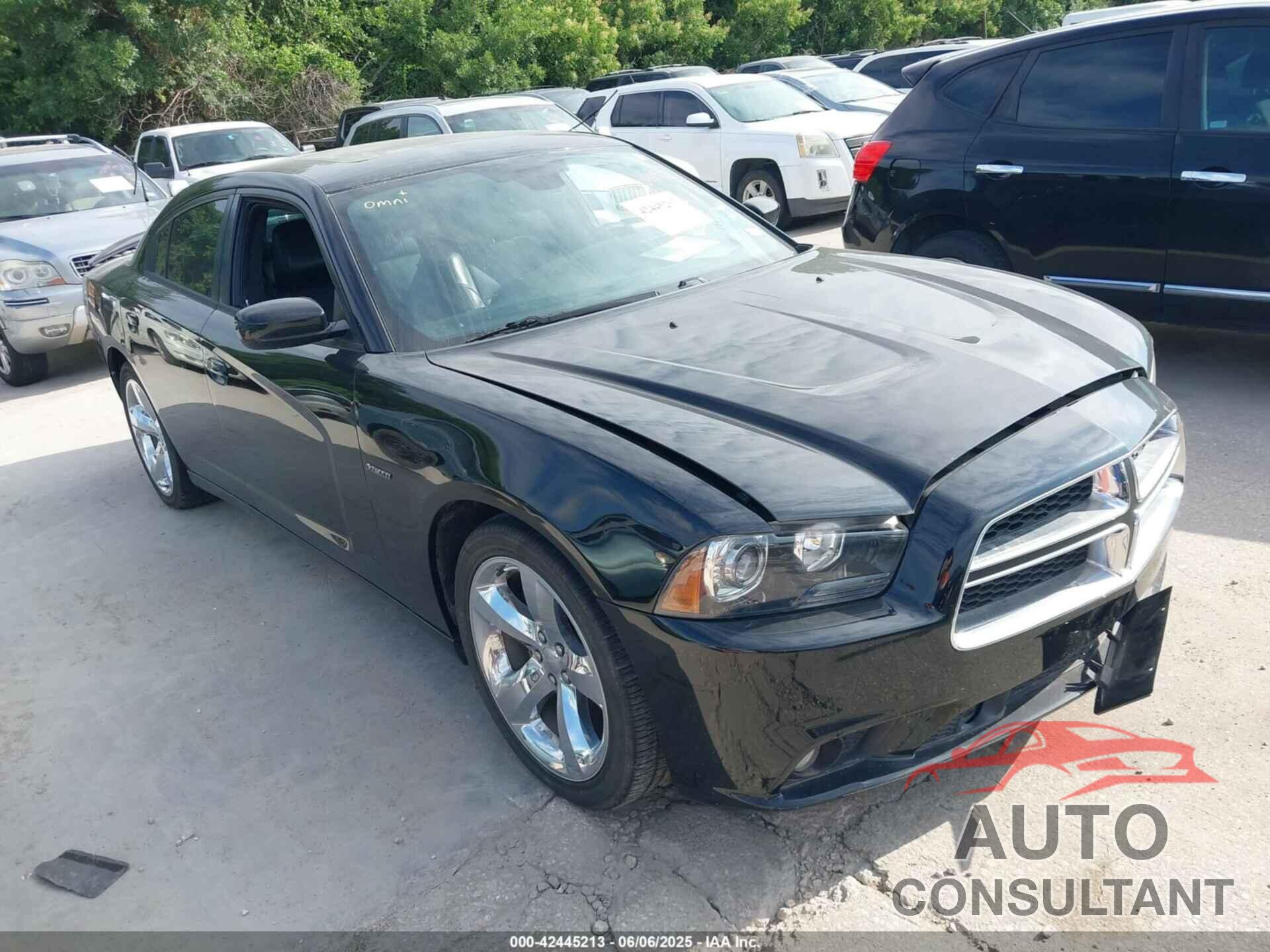 DODGE CHARGER 2013 - 2C3CDXCT3DH512552