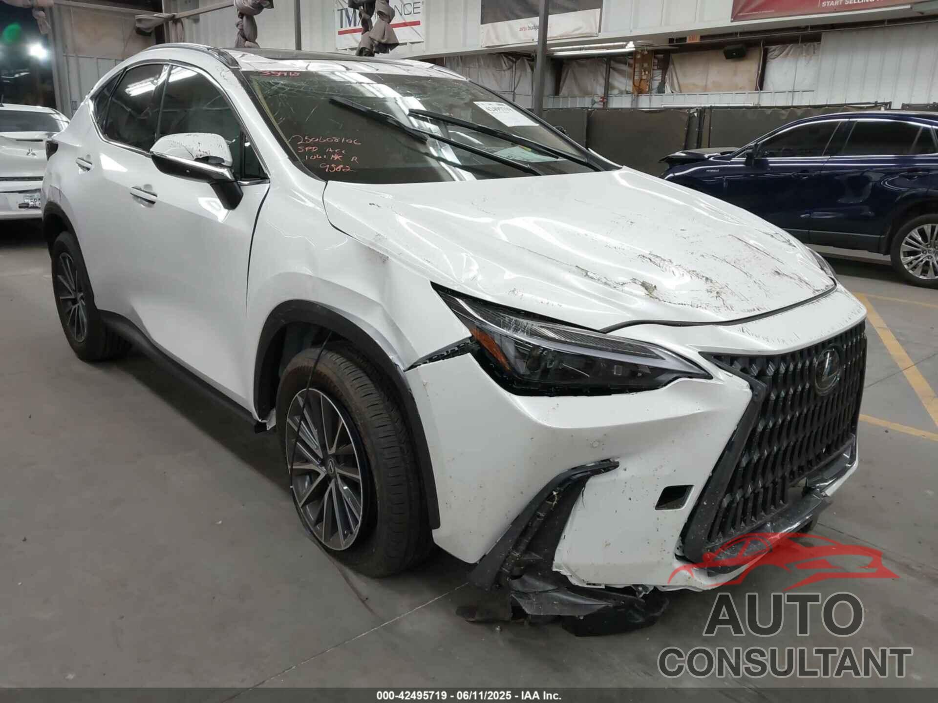 LEXUS NX 350 2025 - 2T2GGCEZ2SC079582