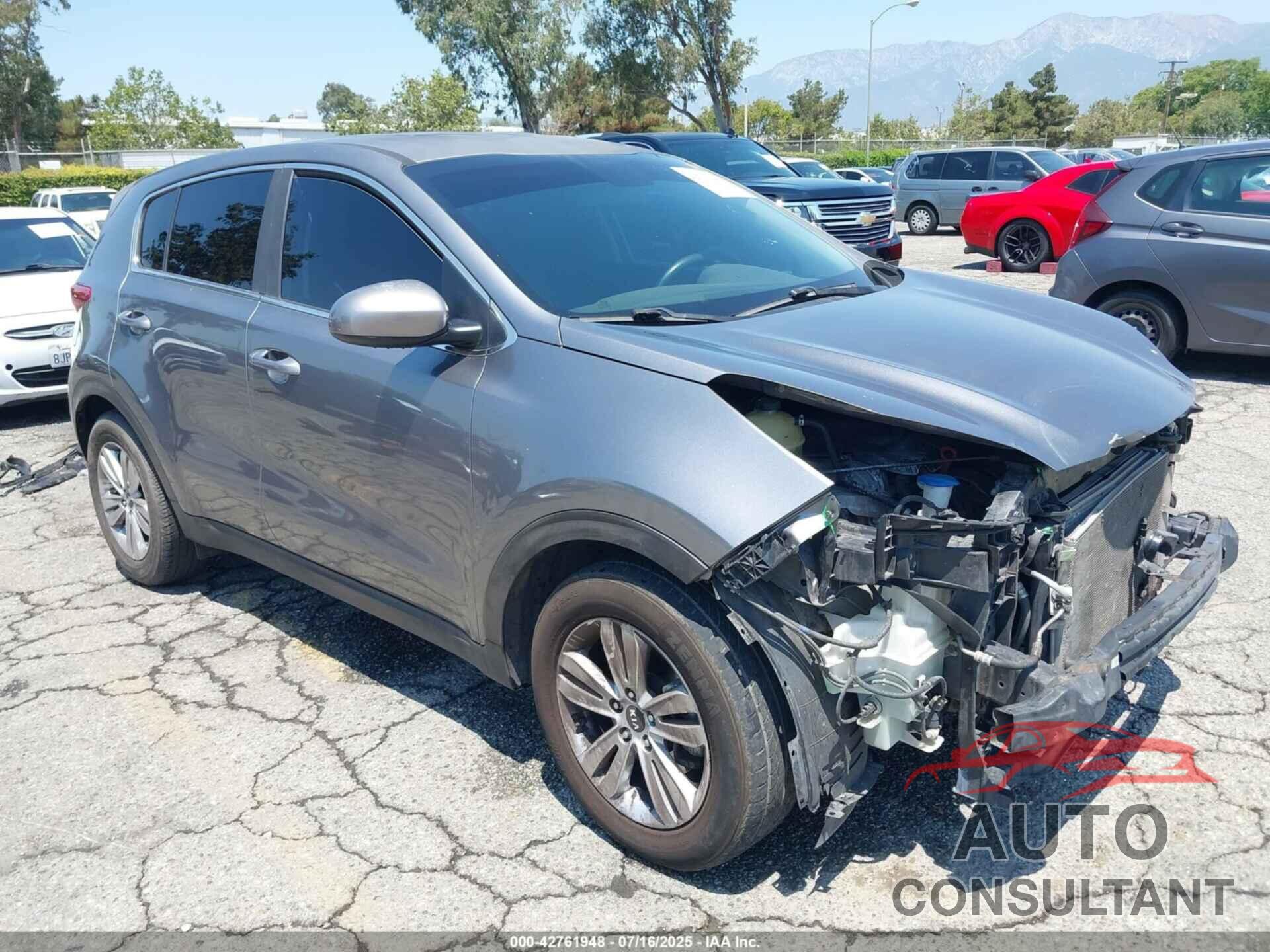KIA SPORTAGE 2017 - KNDPM3AC7H7109961