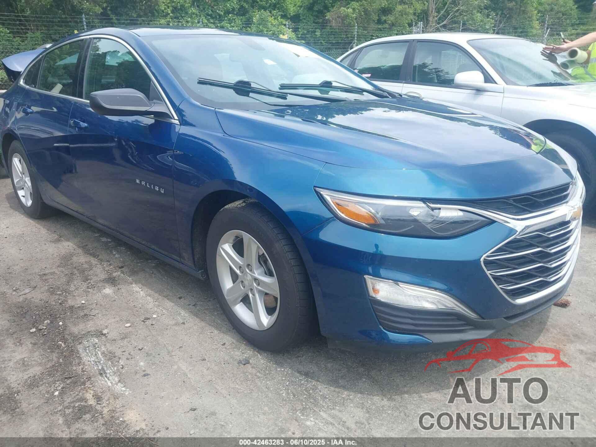 CHEVROLET MALIBU 2019 - 1G1ZB5ST0KF165707