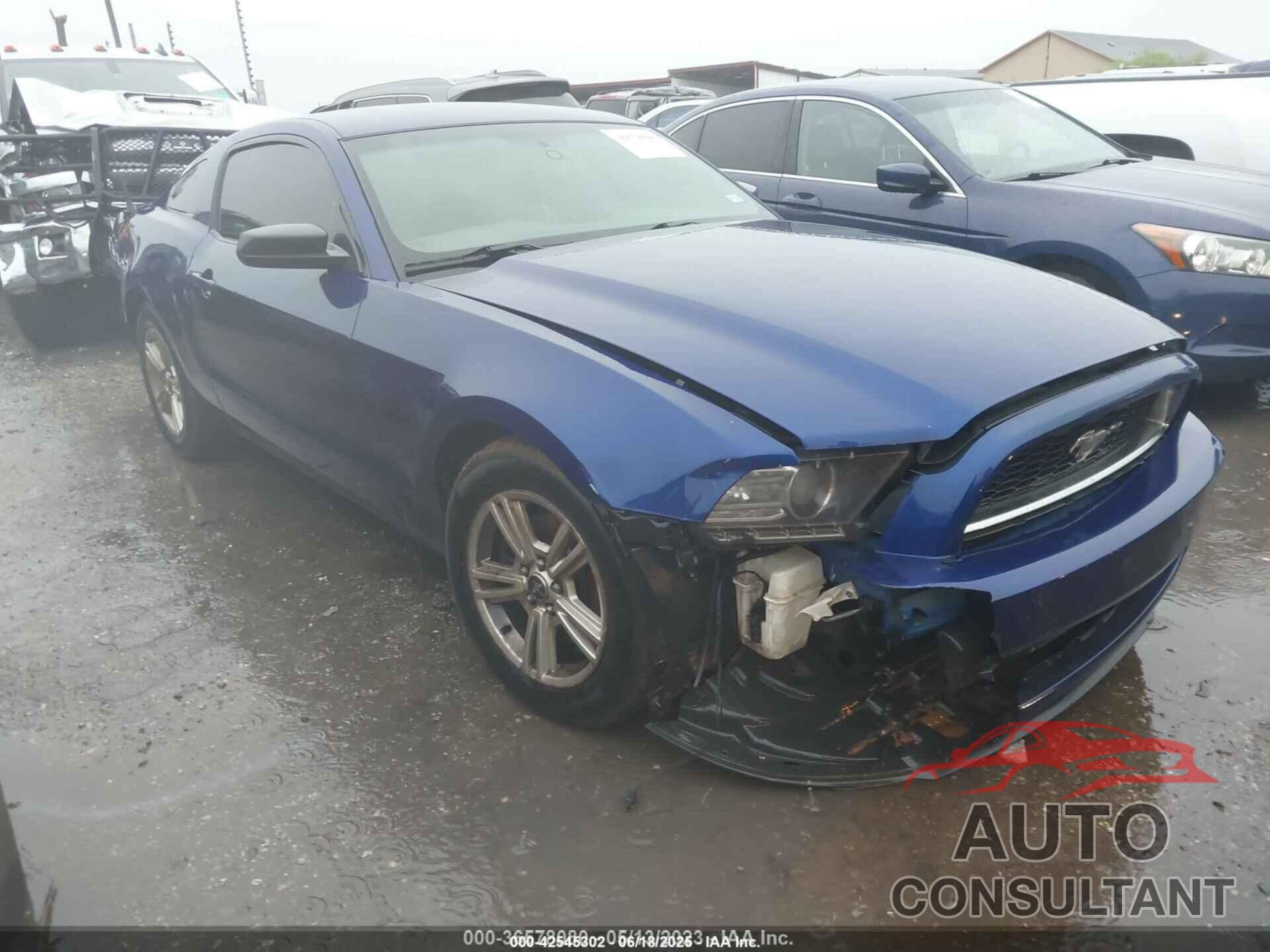 FORD MUSTANG 2014 - 1ZVBP8AM4E5270246
