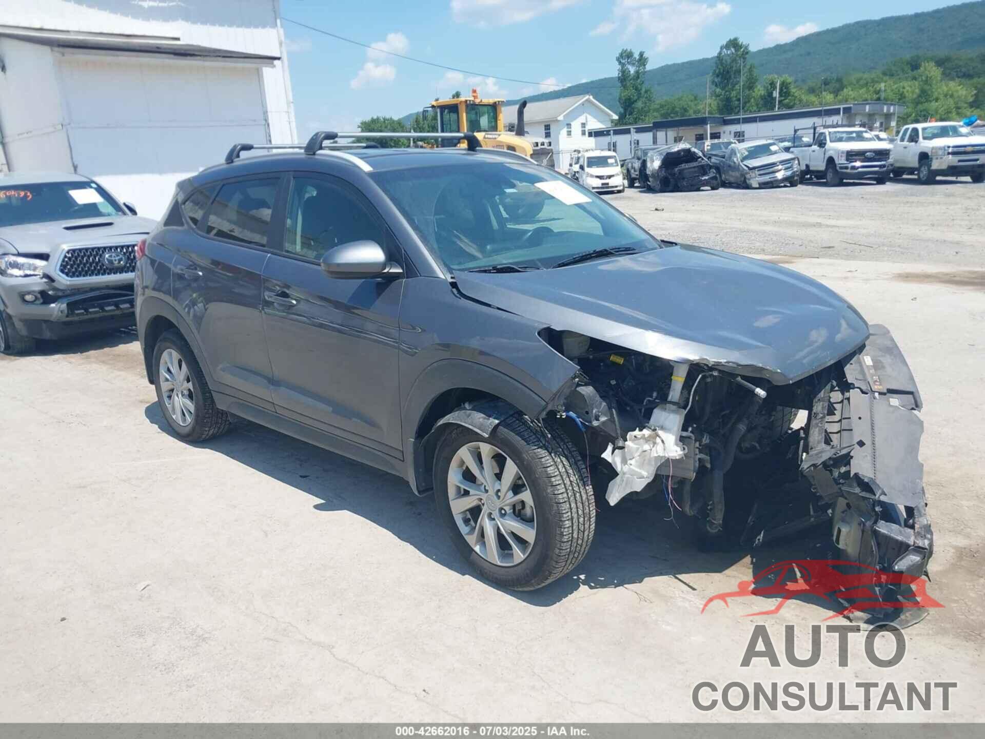 HYUNDAI TUCSON 2019 - KM8J33A46KU052965
