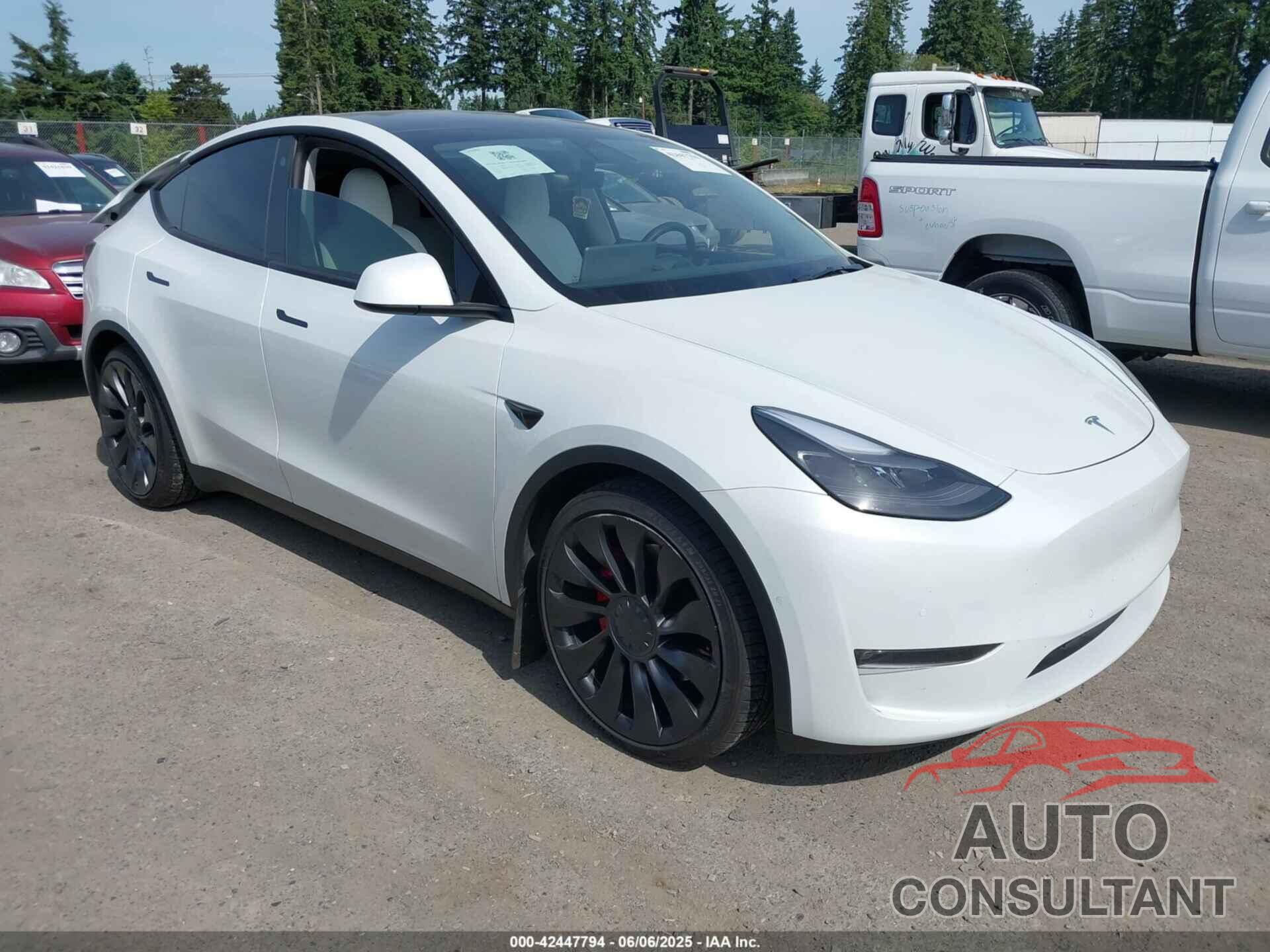 TESLA MODEL Y 2022 - 7SAYGDEF6NF340932