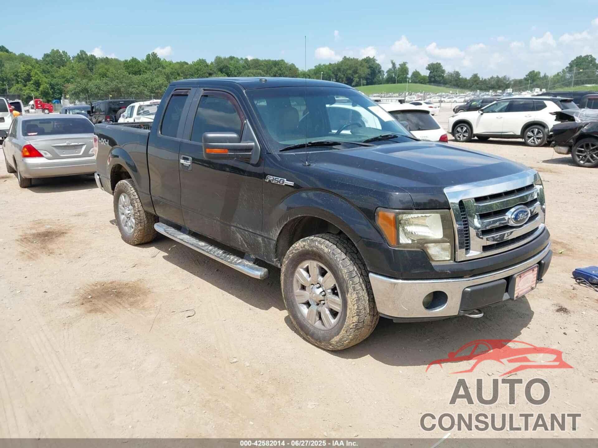 FORD F-150 2009 - 1FTRX14V69FA50698