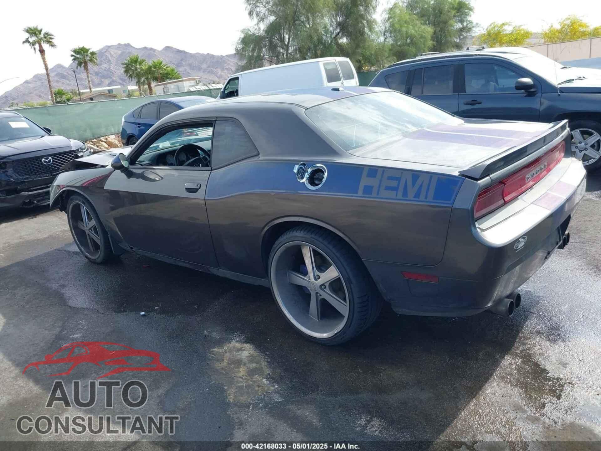 DODGE CHALLENGER 2013 - 2C3CDYBT3DH619527