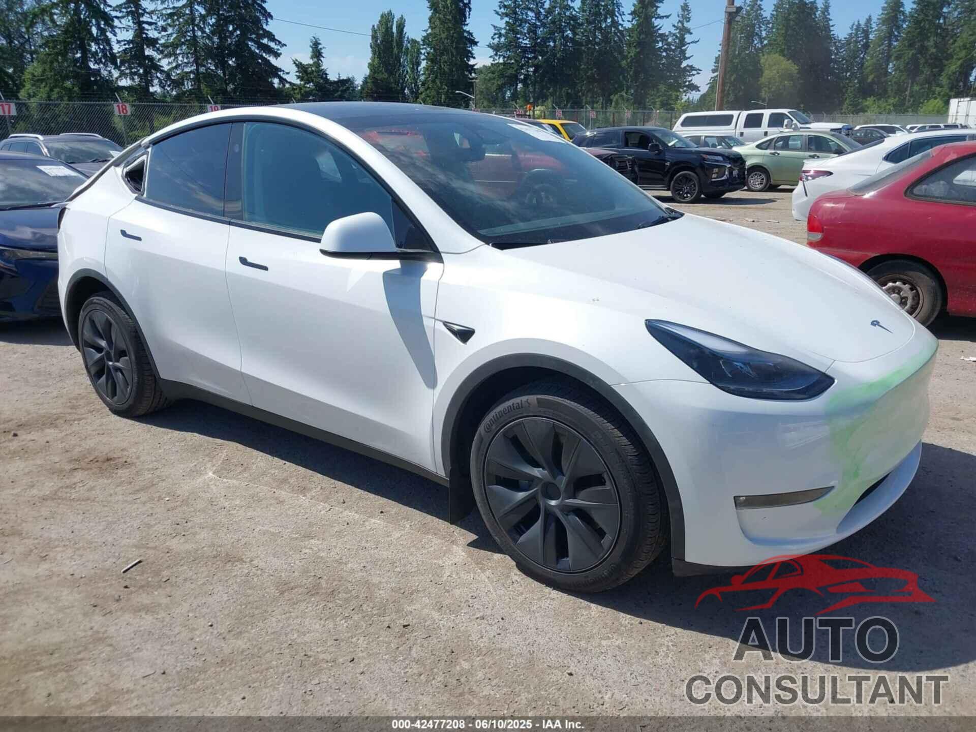 TESLA MODEL Y 2024 - 7SAYGDEE3RF166962