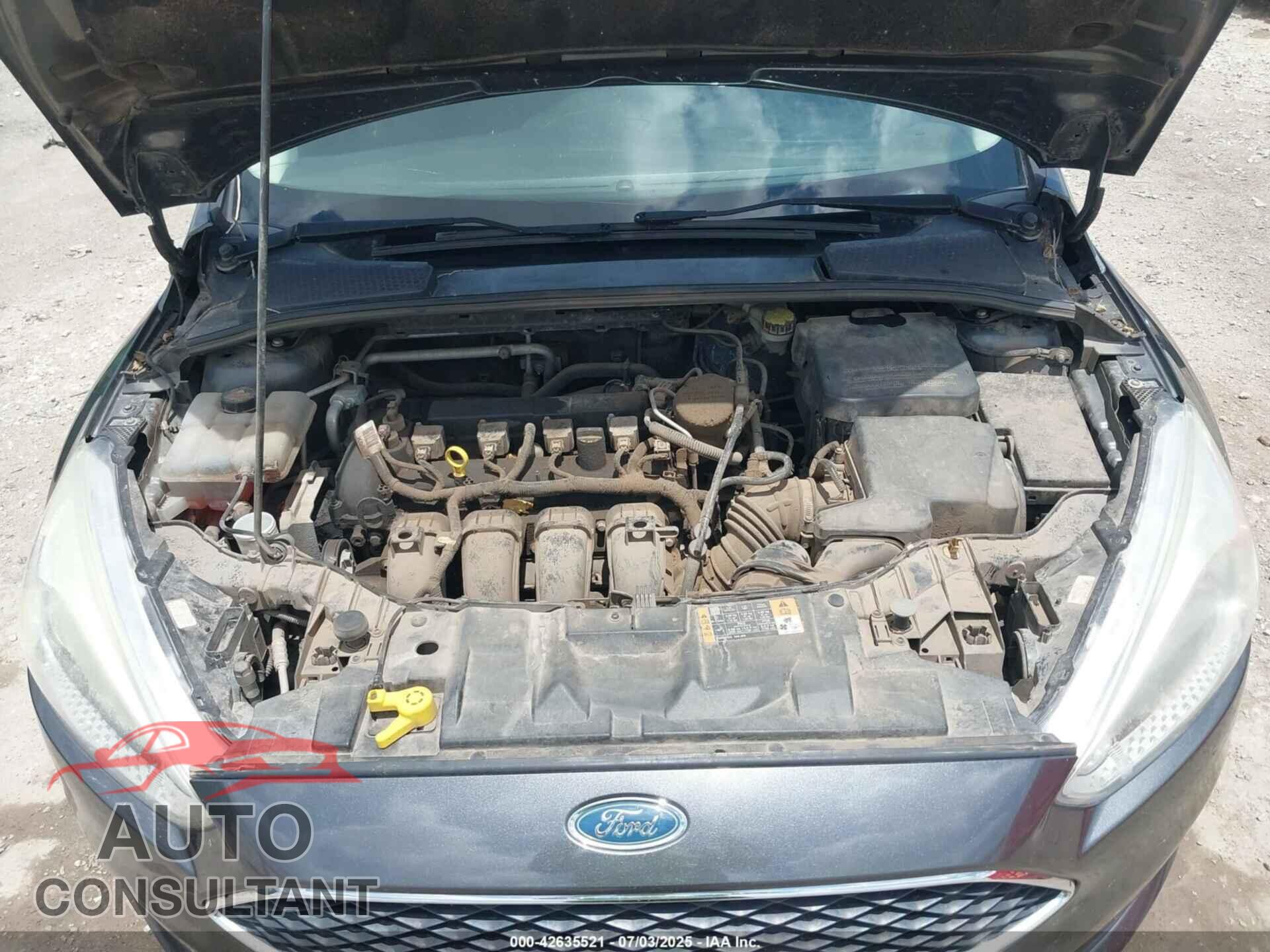 FORD FOCUS 2016 - 1FADP3E23GL221020