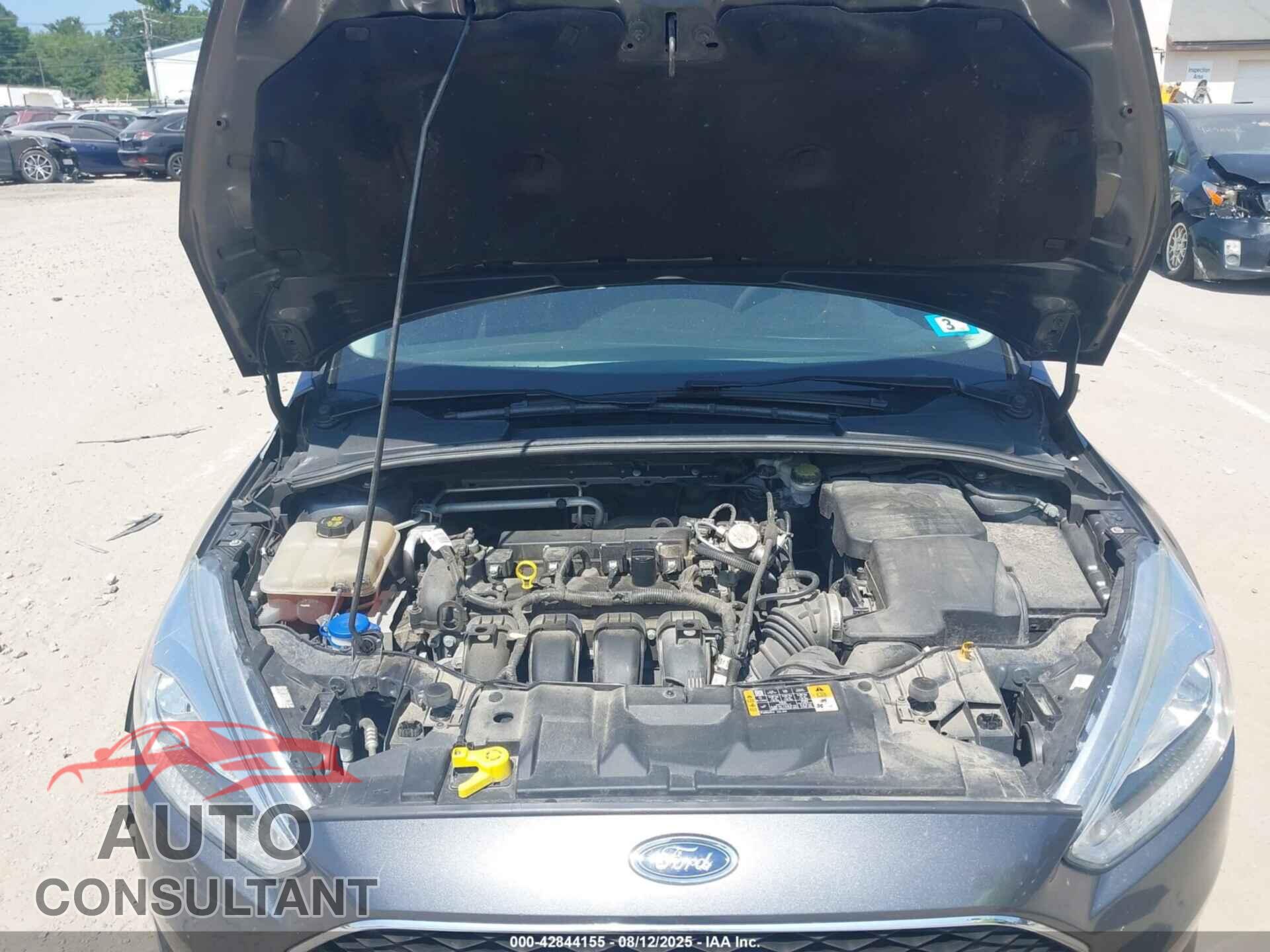 FORD FOCUS 2016 - 1FADP3F21GL334804