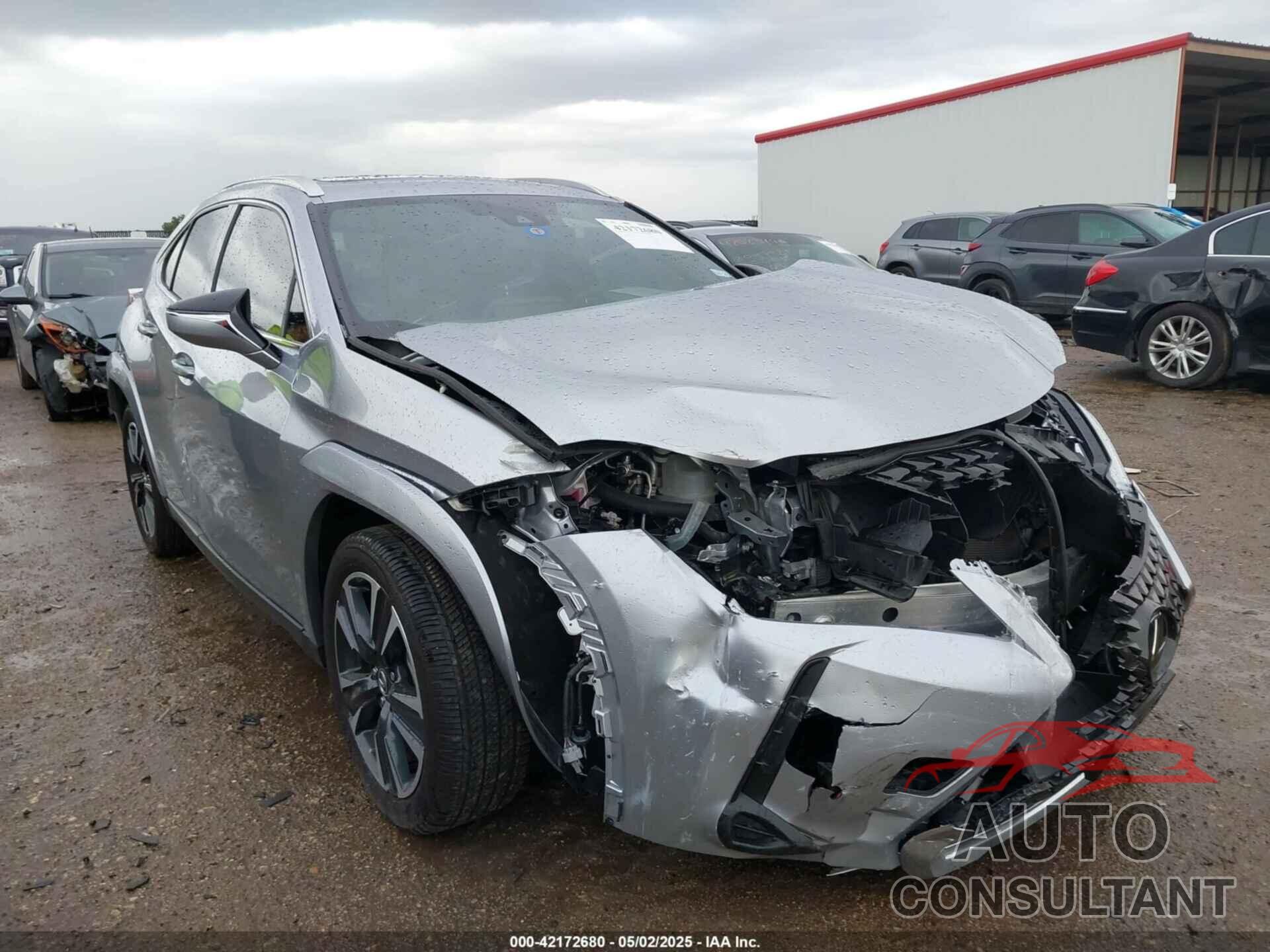 LEXUS UX 250H 2024 - JTHP6JBH7R2193351