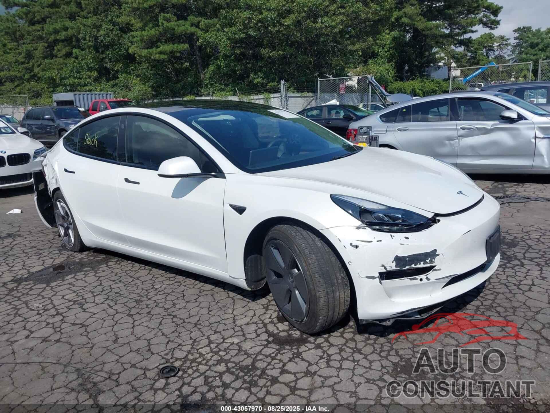 TESLA MODEL 3 2021 - 5YJ3E1EA1MF053660