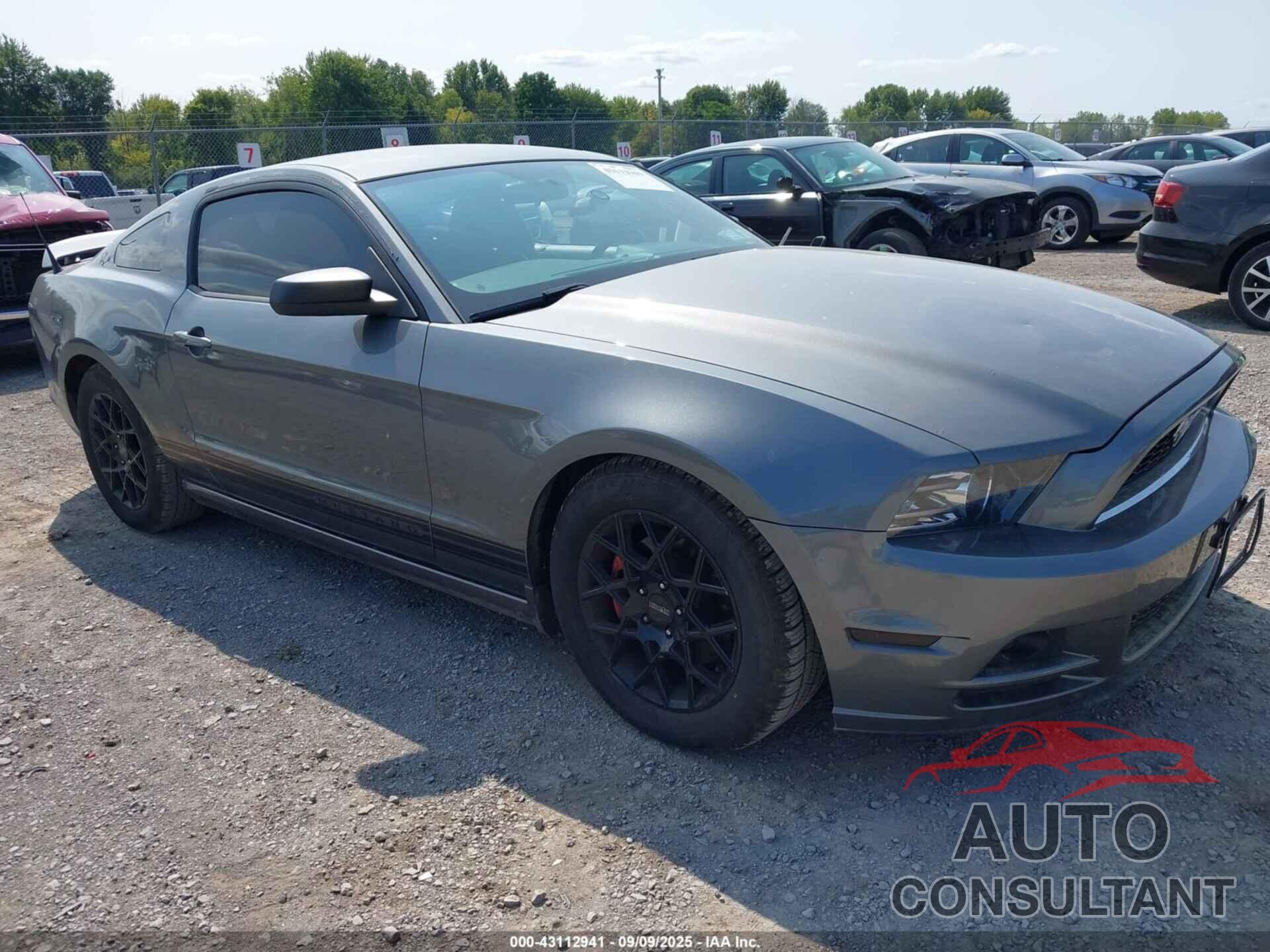 FORD MUSTANG 2013 - 1ZVBP8AM2D5242783