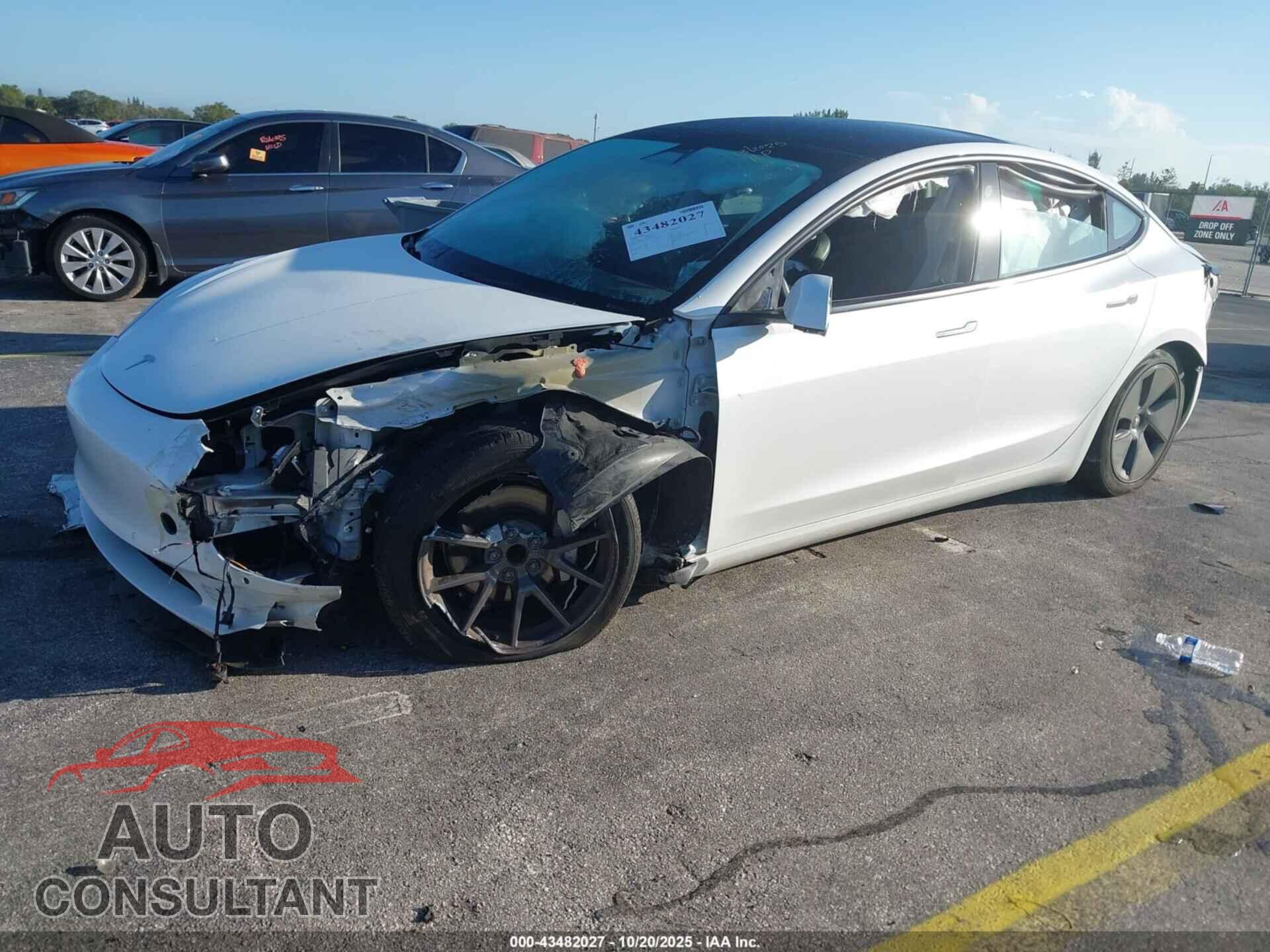 TESLA MODEL 3 2021 - 5YJ3E1EA2MF091737