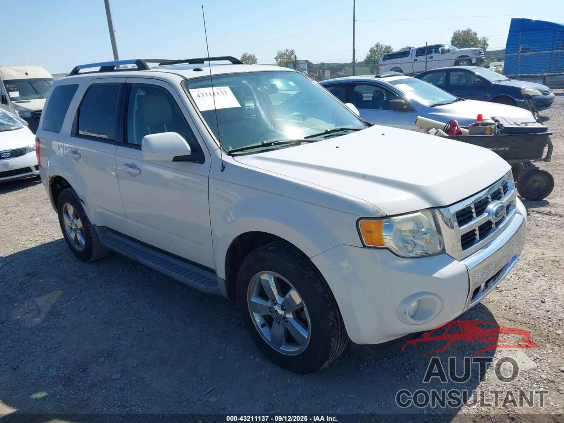 FORD ESCAPE 2010 - 1FMCU0EG9AKA03388