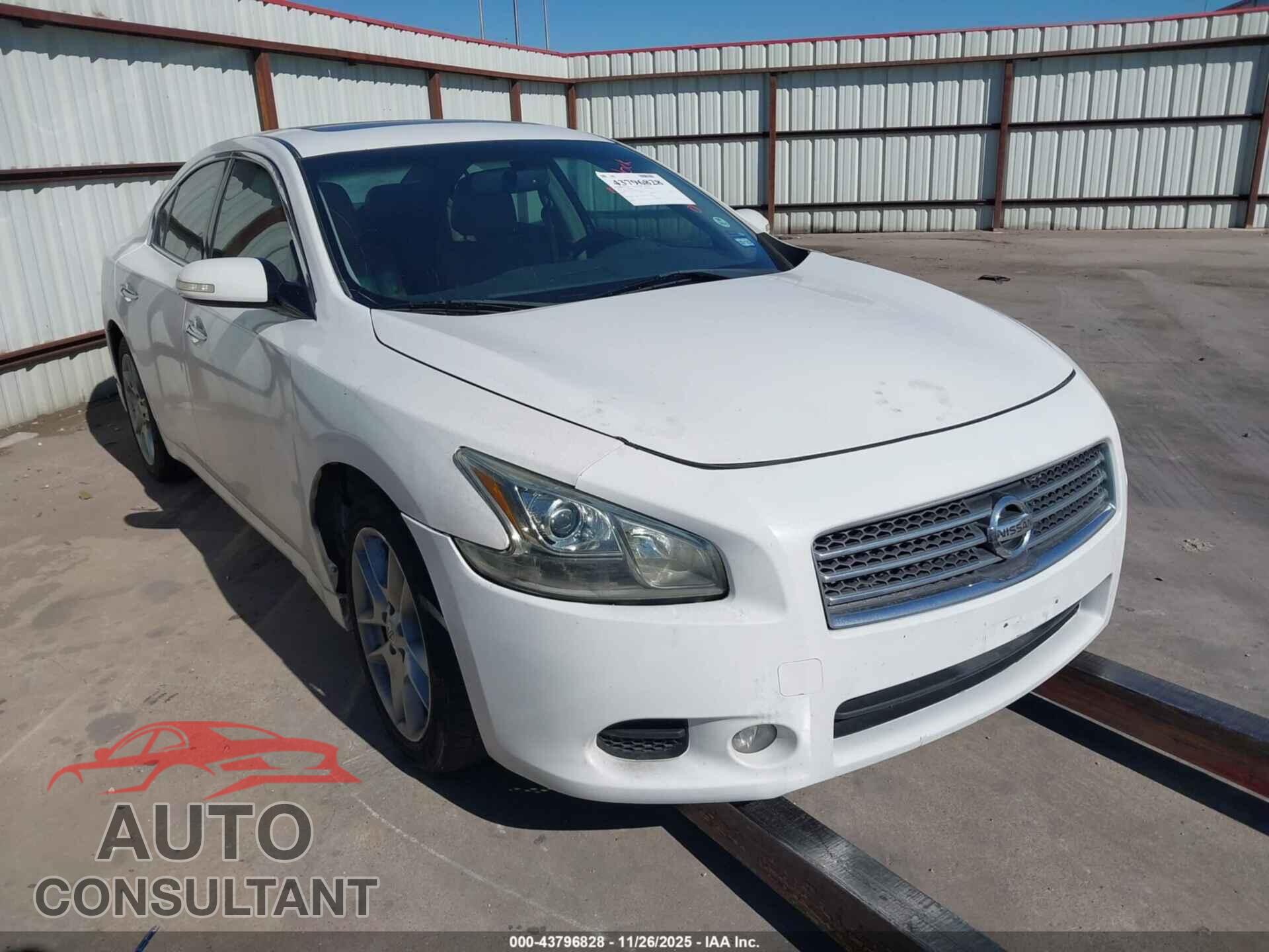 NISSAN MAXIMA 2011 - 1N4AA5AP1BC812800