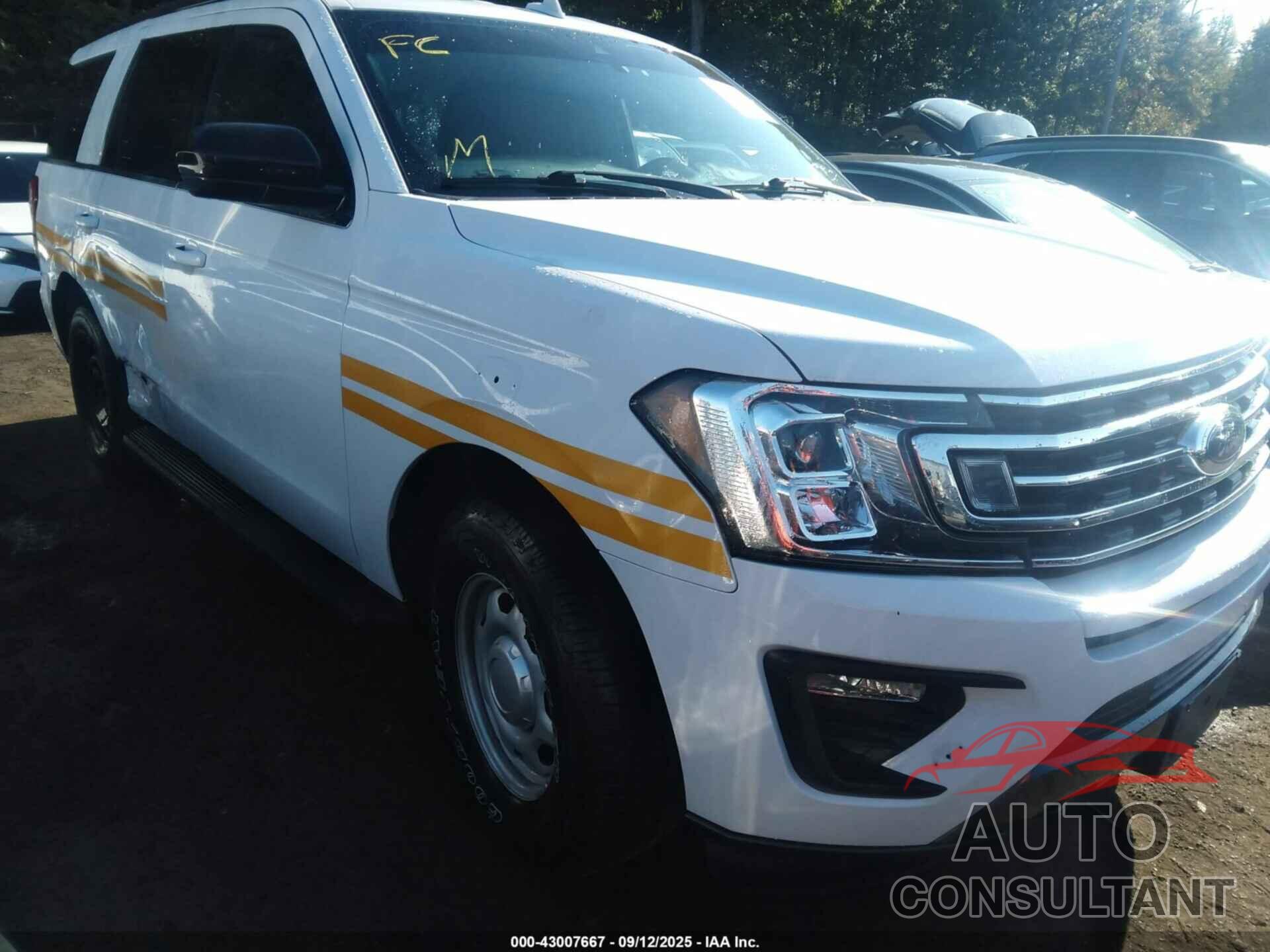 FORD EXPEDITION 2020 - 1FMJU1GT9LEA67570