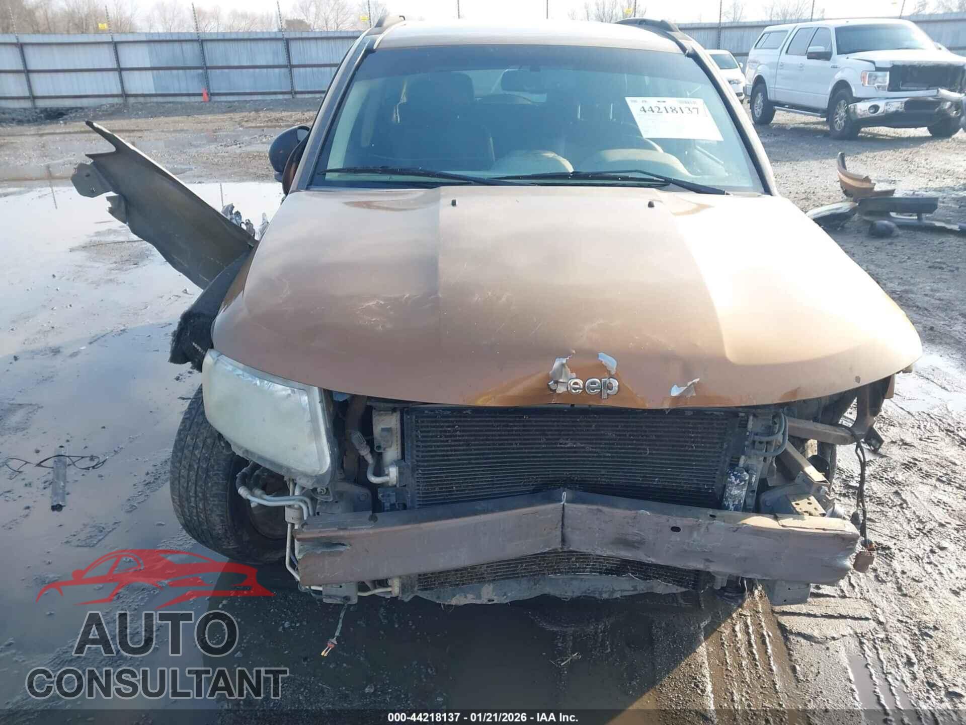 JEEP COMPASS 2011 - 1J4NT5FB3BD203134