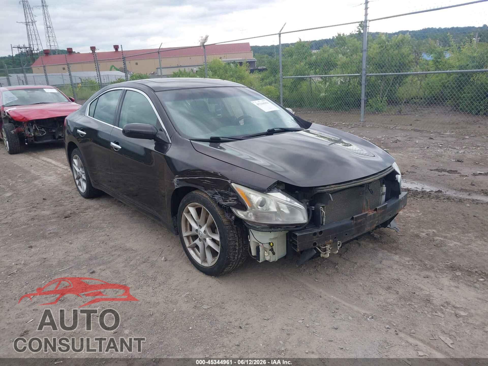 NISSAN MAXIMA 2011 - 1N4AA5AP0BC807524