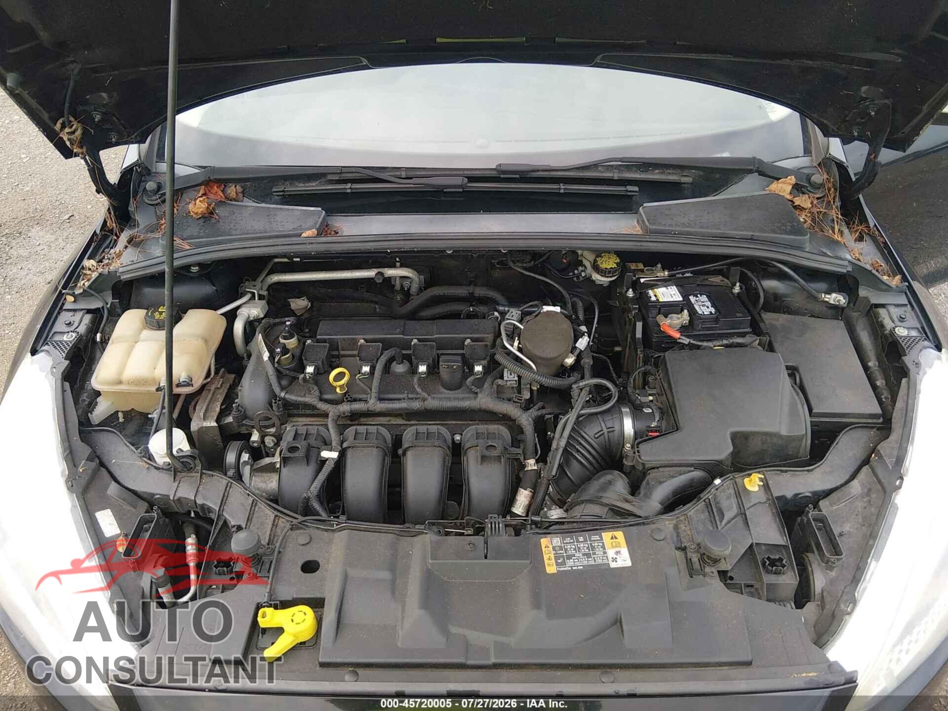 FORD FOCUS 2016 - 1FADP3F28GL224848