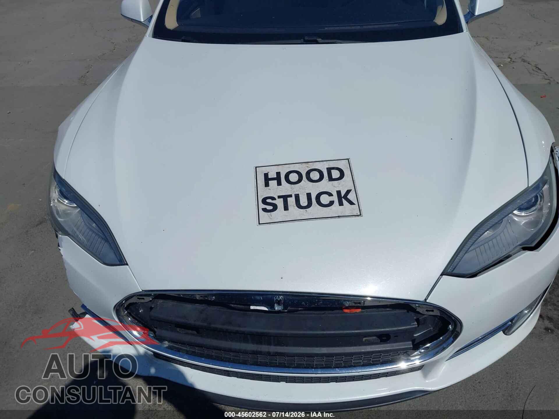 TESLA MODEL S 2013 - 5YJSA1AG1DFP04870