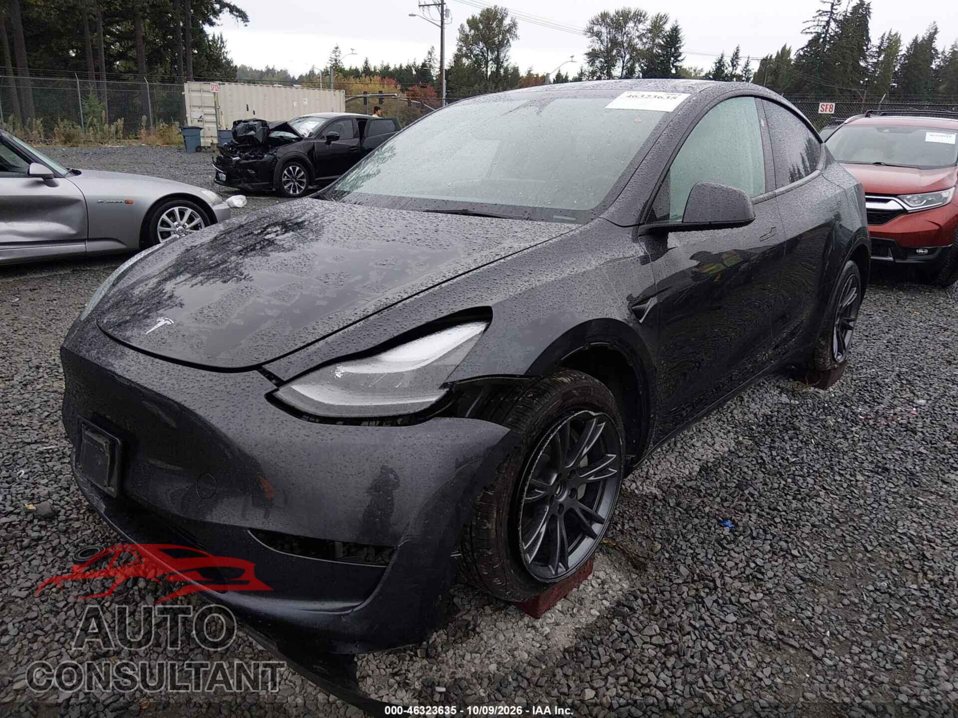 TESLA MODEL Y 2024 - 7SAYGDEE2RF166273