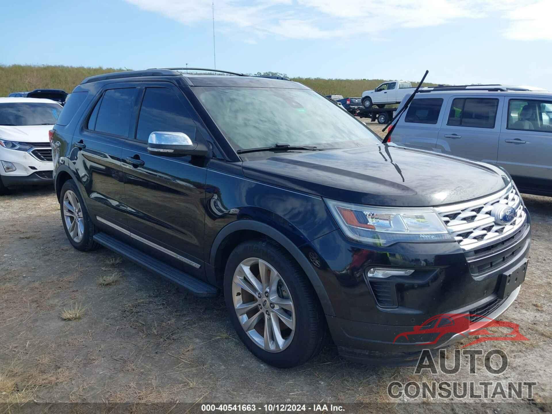 FORD EXPLORER 2019 - 1FM5K7D89KGA04417