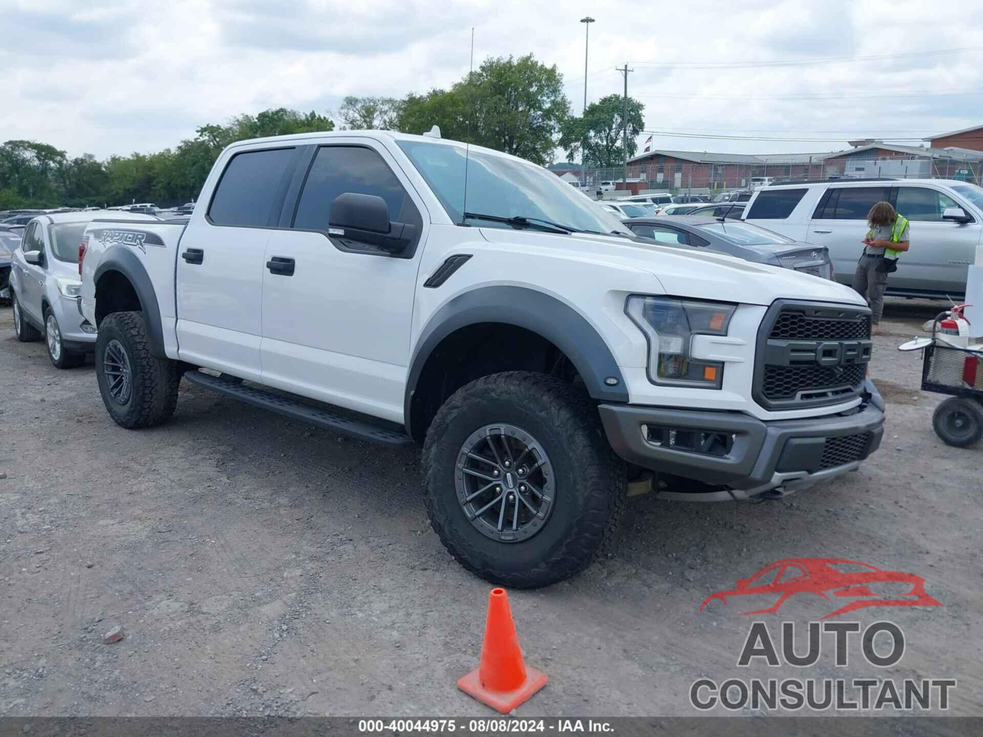 FORD F-150 2019 - 1FTFW1RG3KFC96663