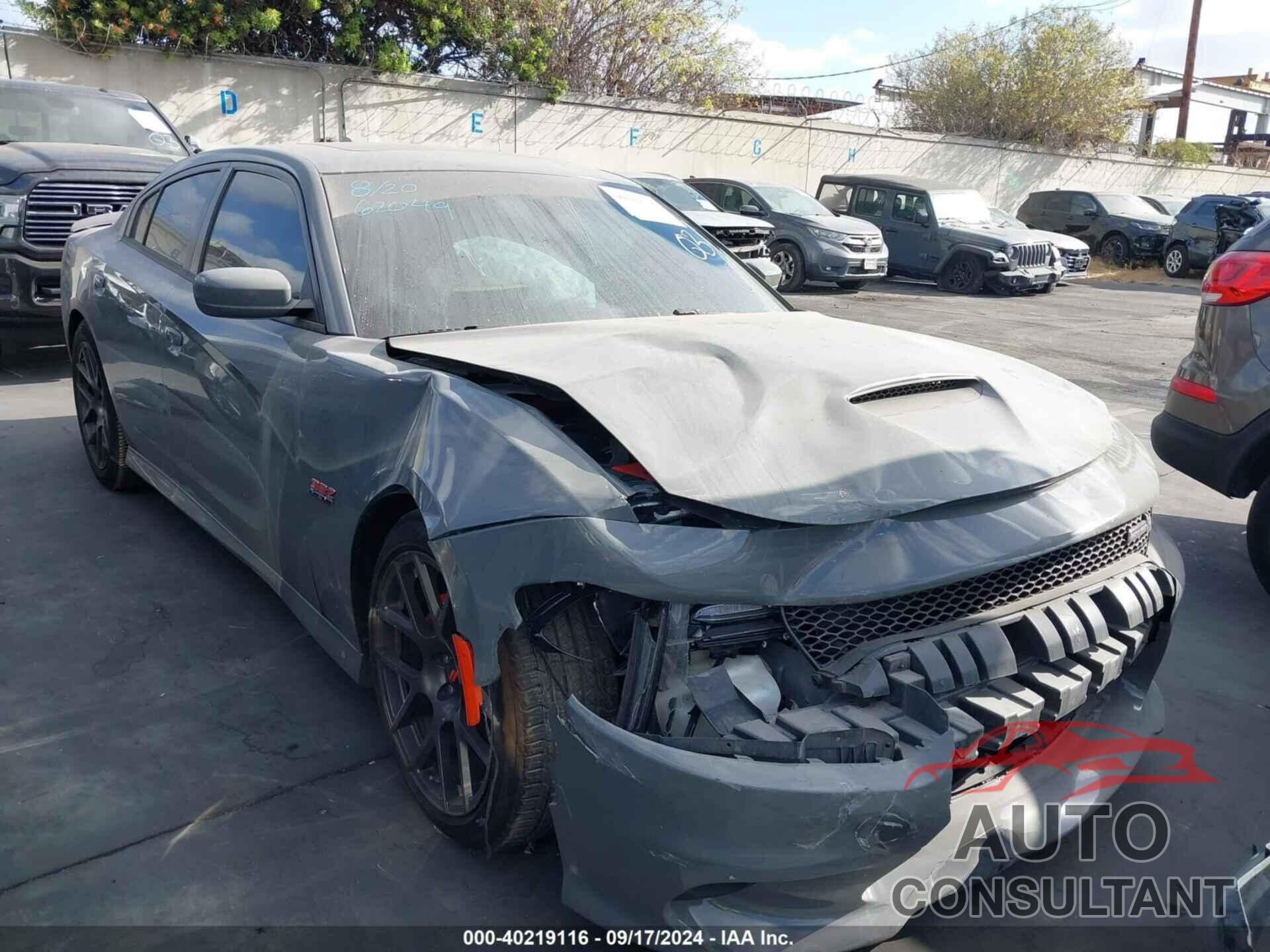 DODGE CHARGER 2018 - 2C3CDXGJ8JH210825