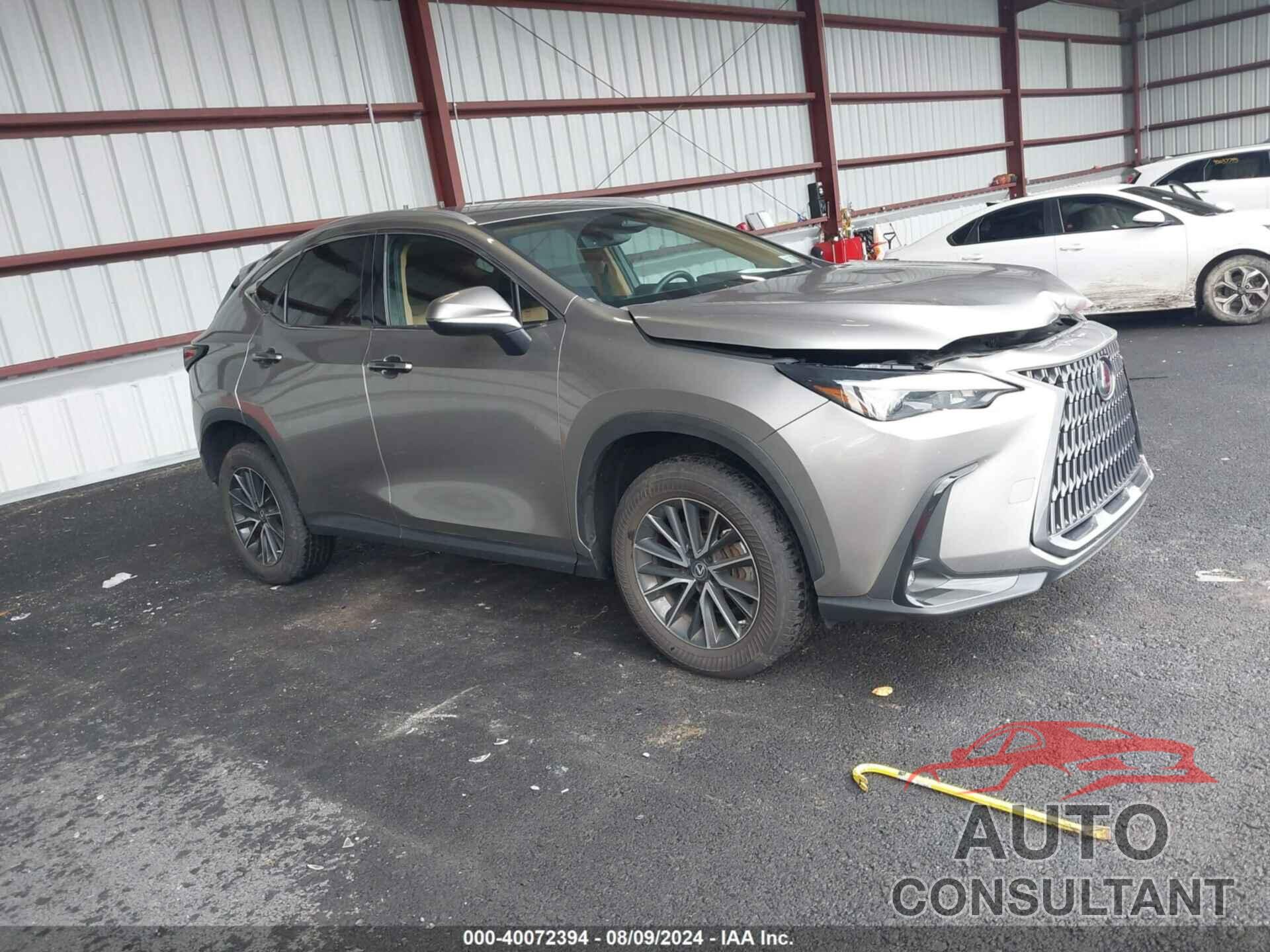 LEXUS NX 250 2022 - 2T2ADCEZ7NC001723