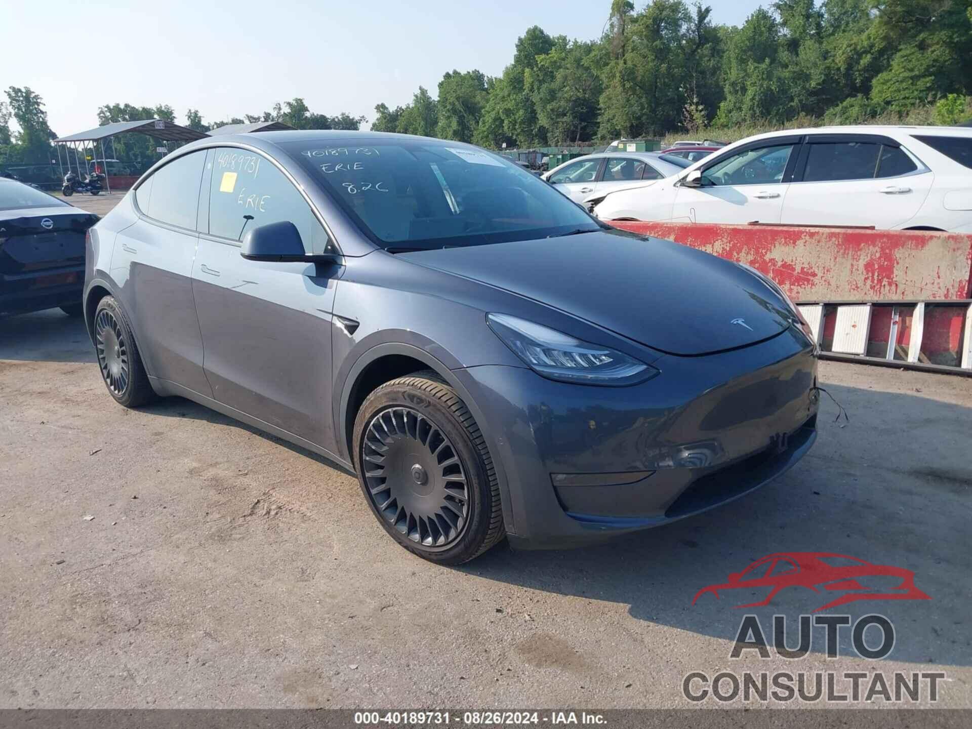 TESLA MODEL Y 2022 - 7SAYGAEE9NF464702