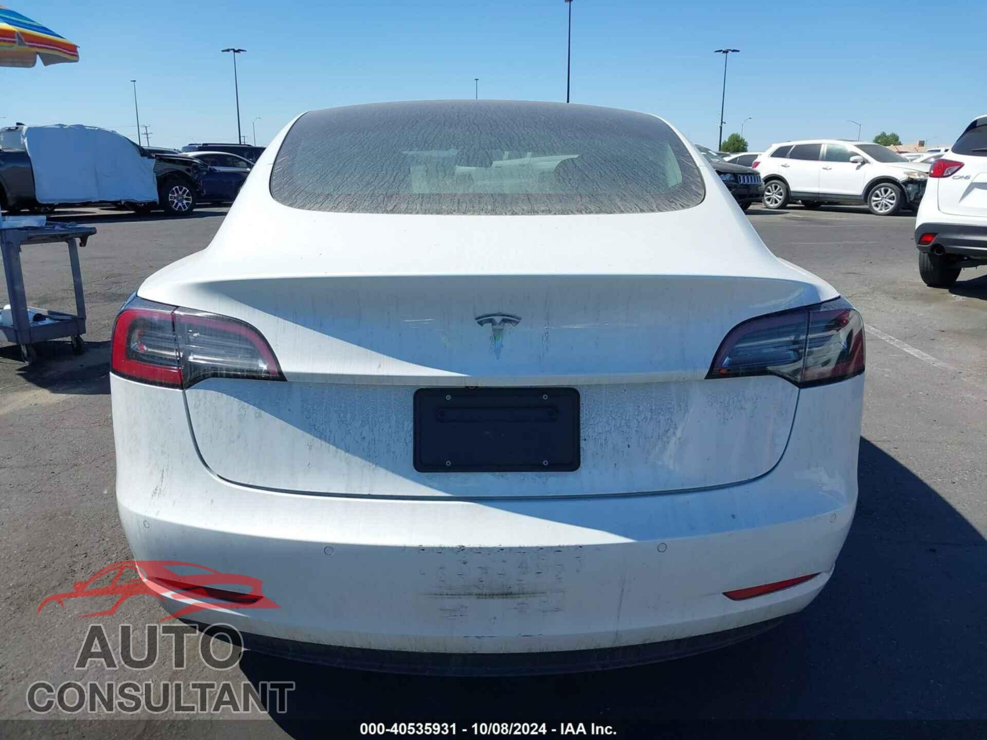 TESLA MODEL 3 2020 - 5YJ3E1EA7LF613535