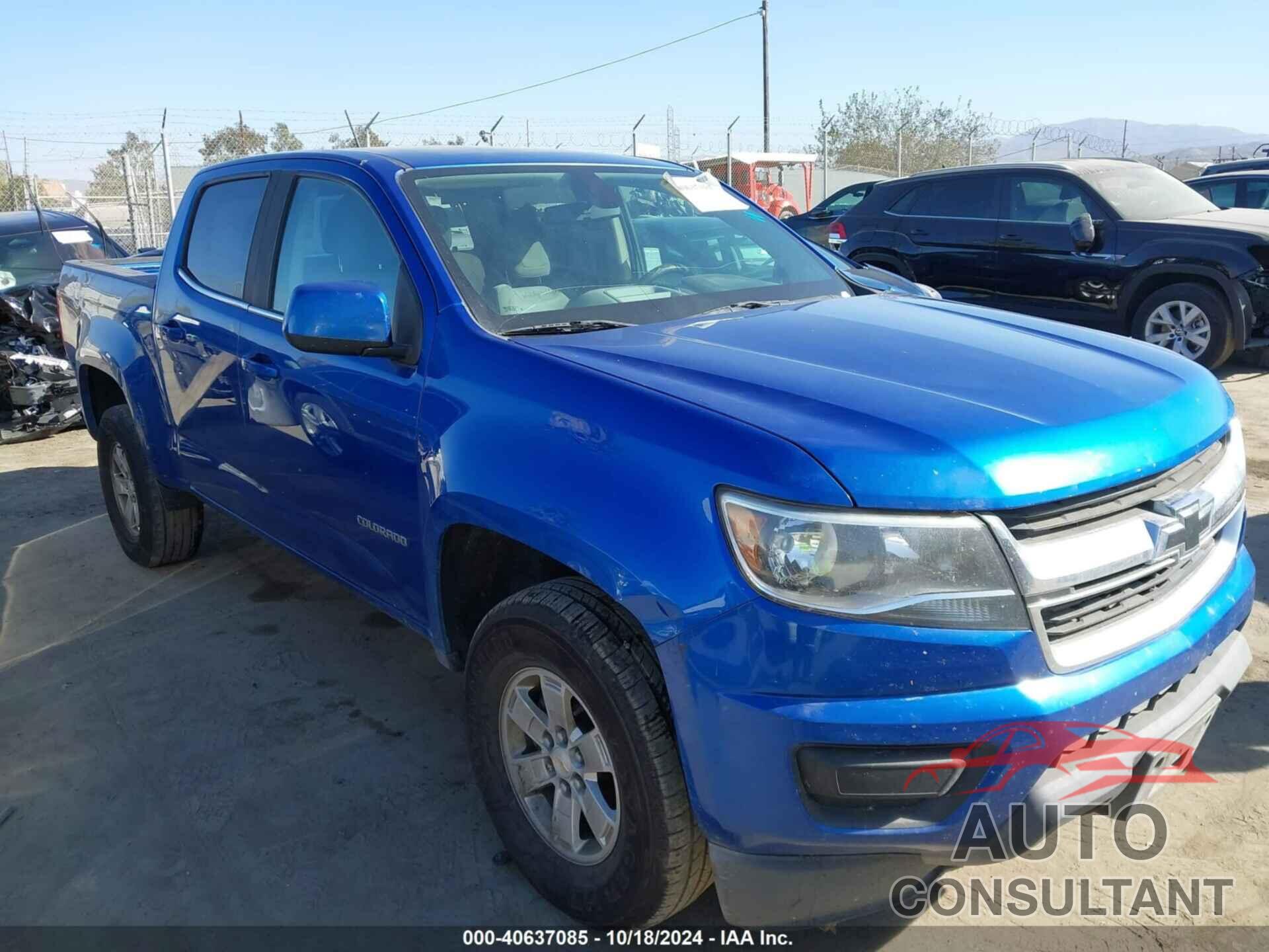 CHEVROLET COLORADO 2019 - 1GCGSBEA7K1115813