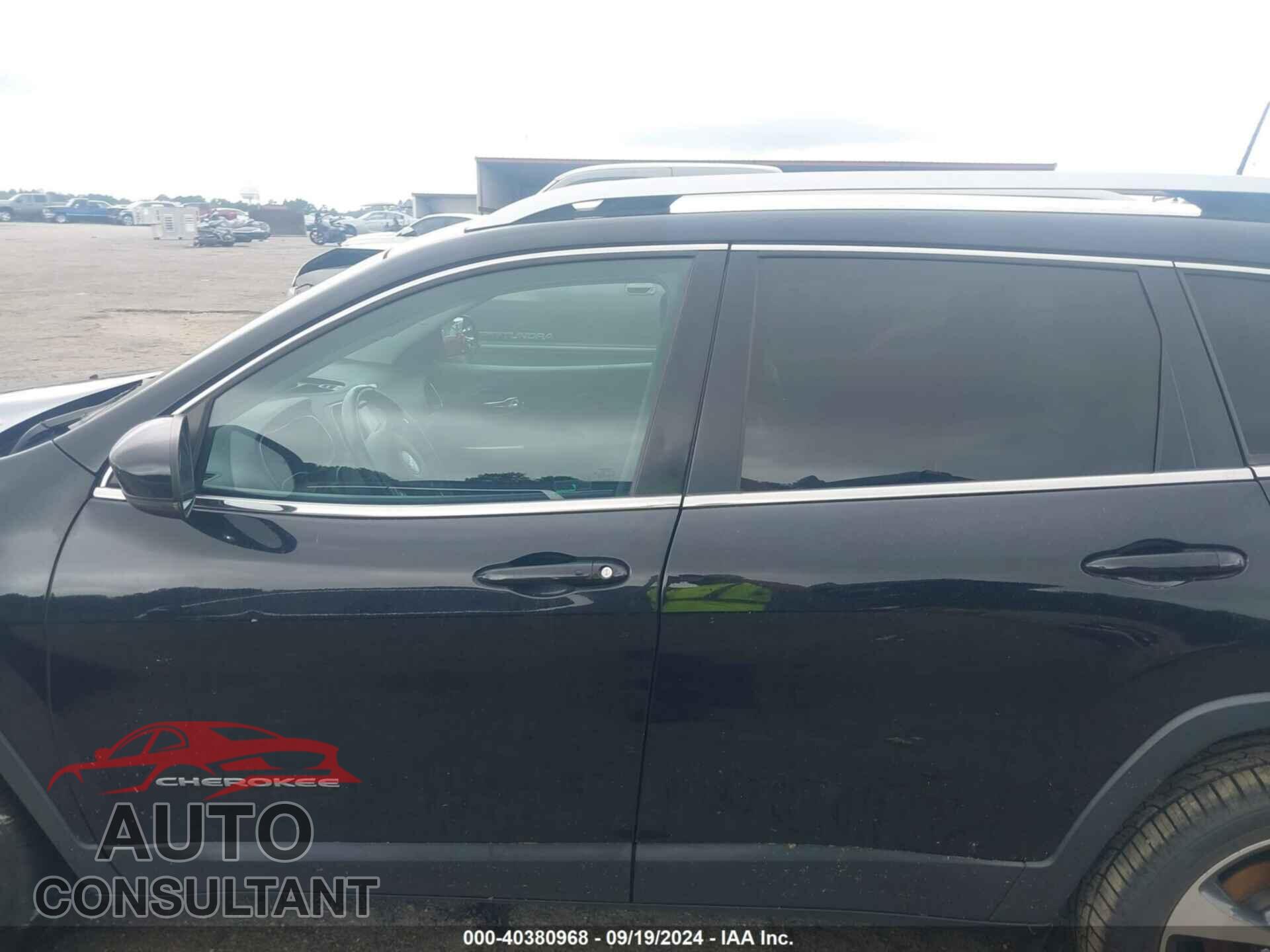 JEEP CHEROKEE 2019 - 1C4PJLDB6KD201700