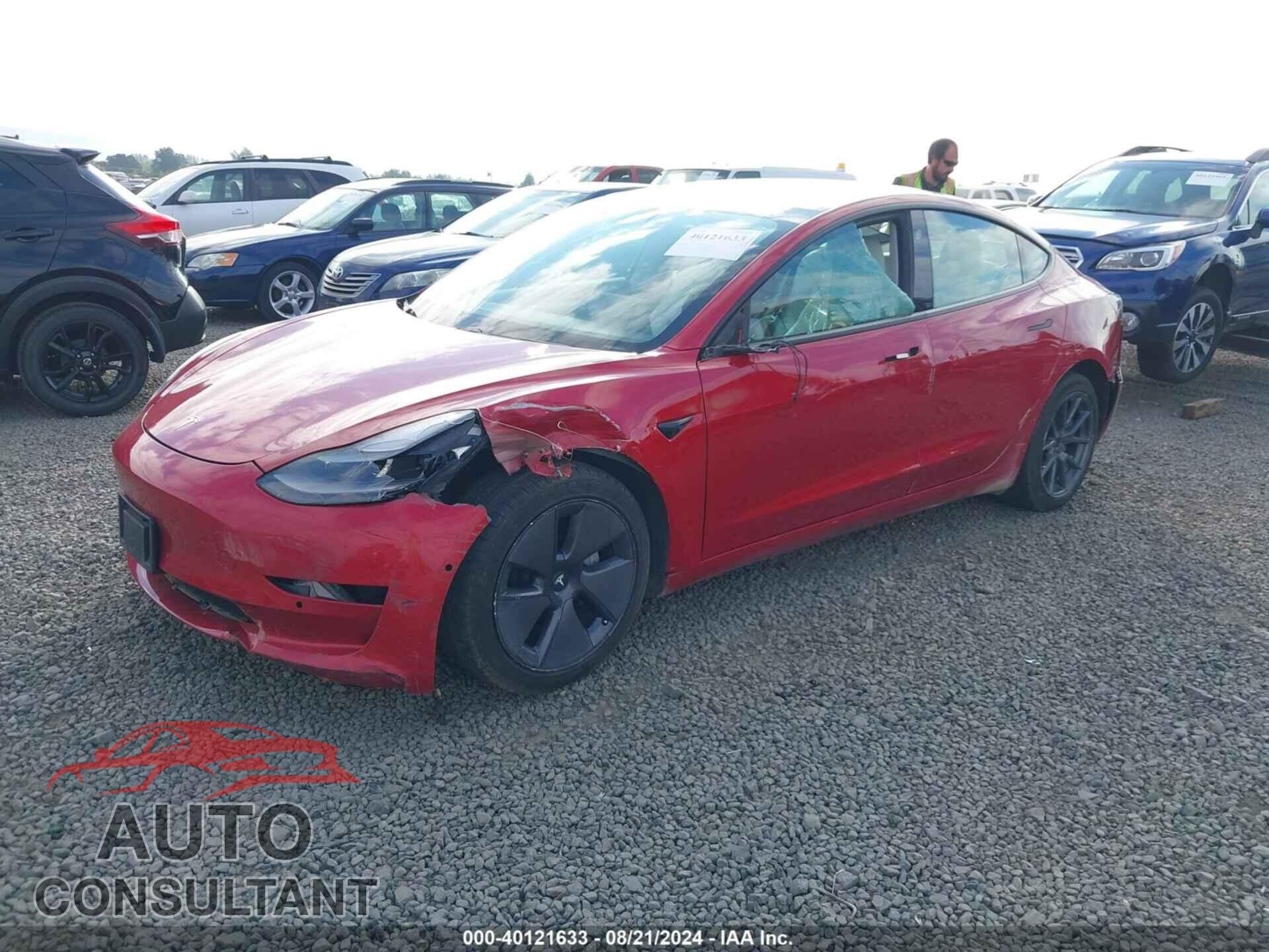 TESLA MODEL 3 2021 - 5YJ3E1EB7MF055342